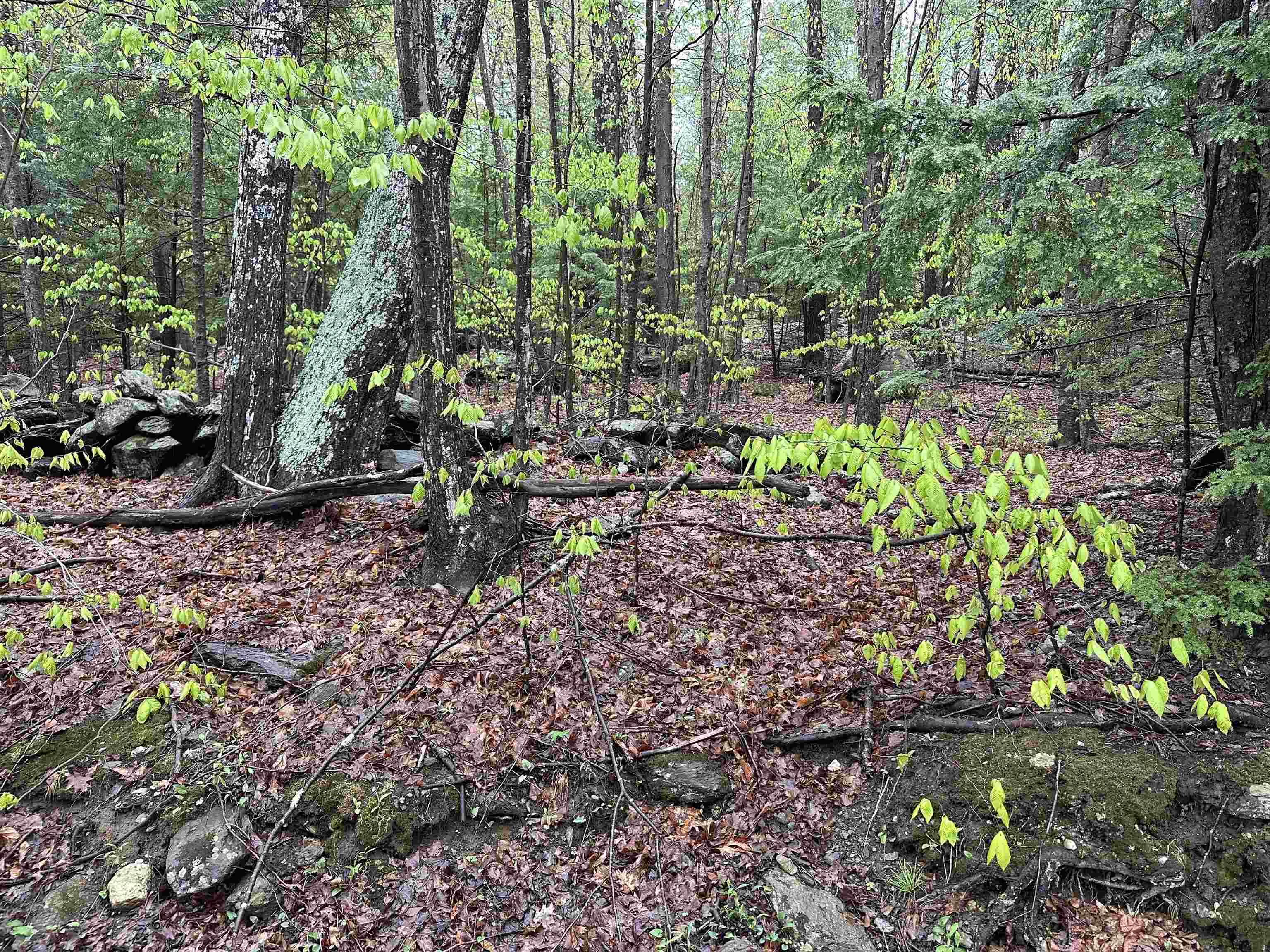 Lot 2 Wellington Hill Road