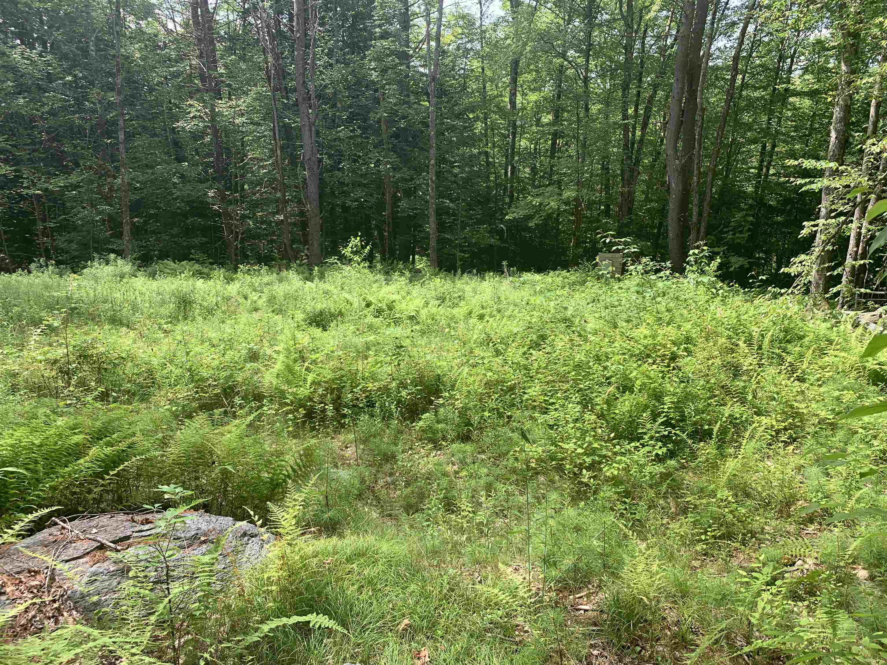 Lot 2 Wellington Hill Road