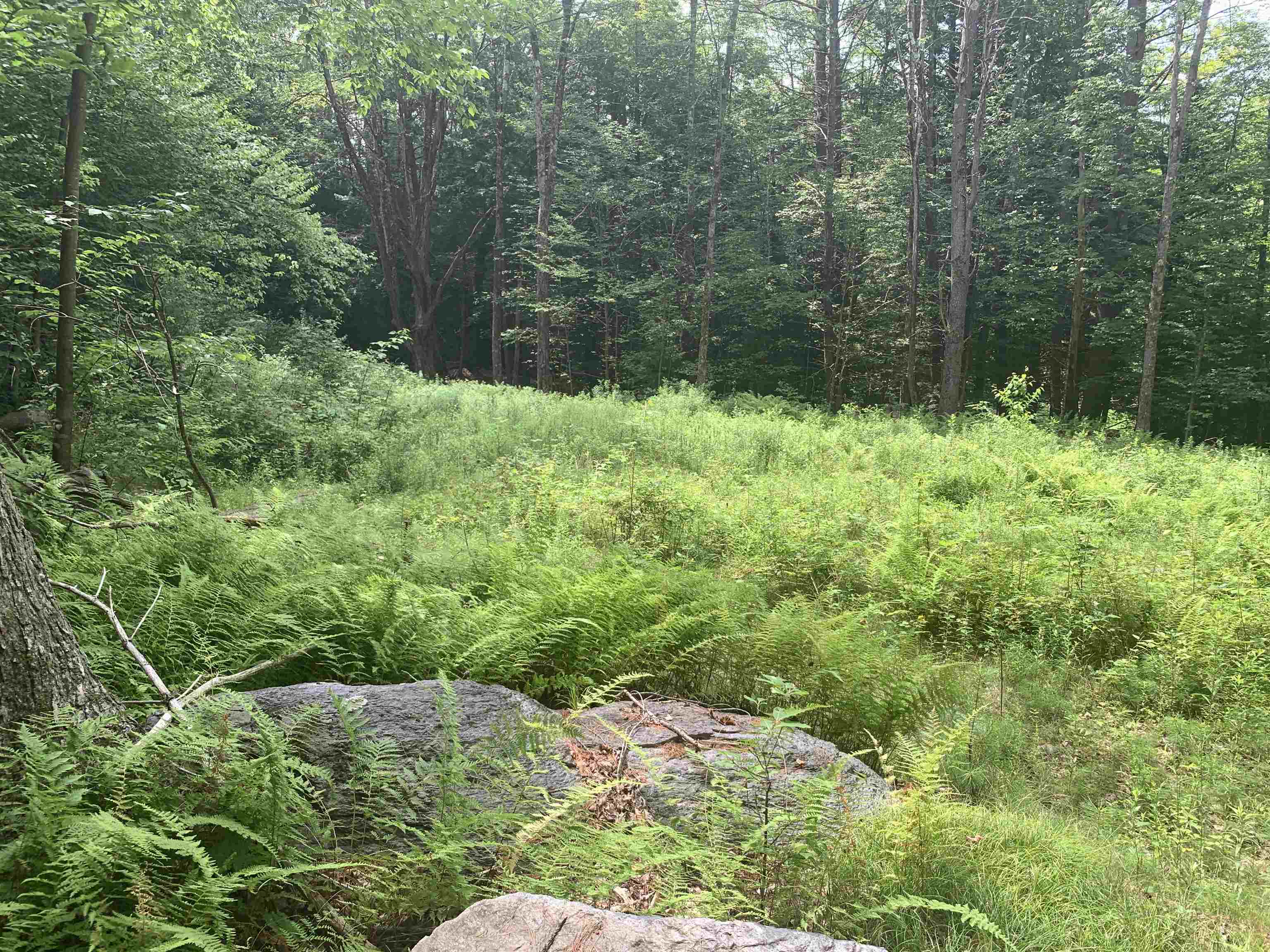 Lot 2 Wellington Hill Road