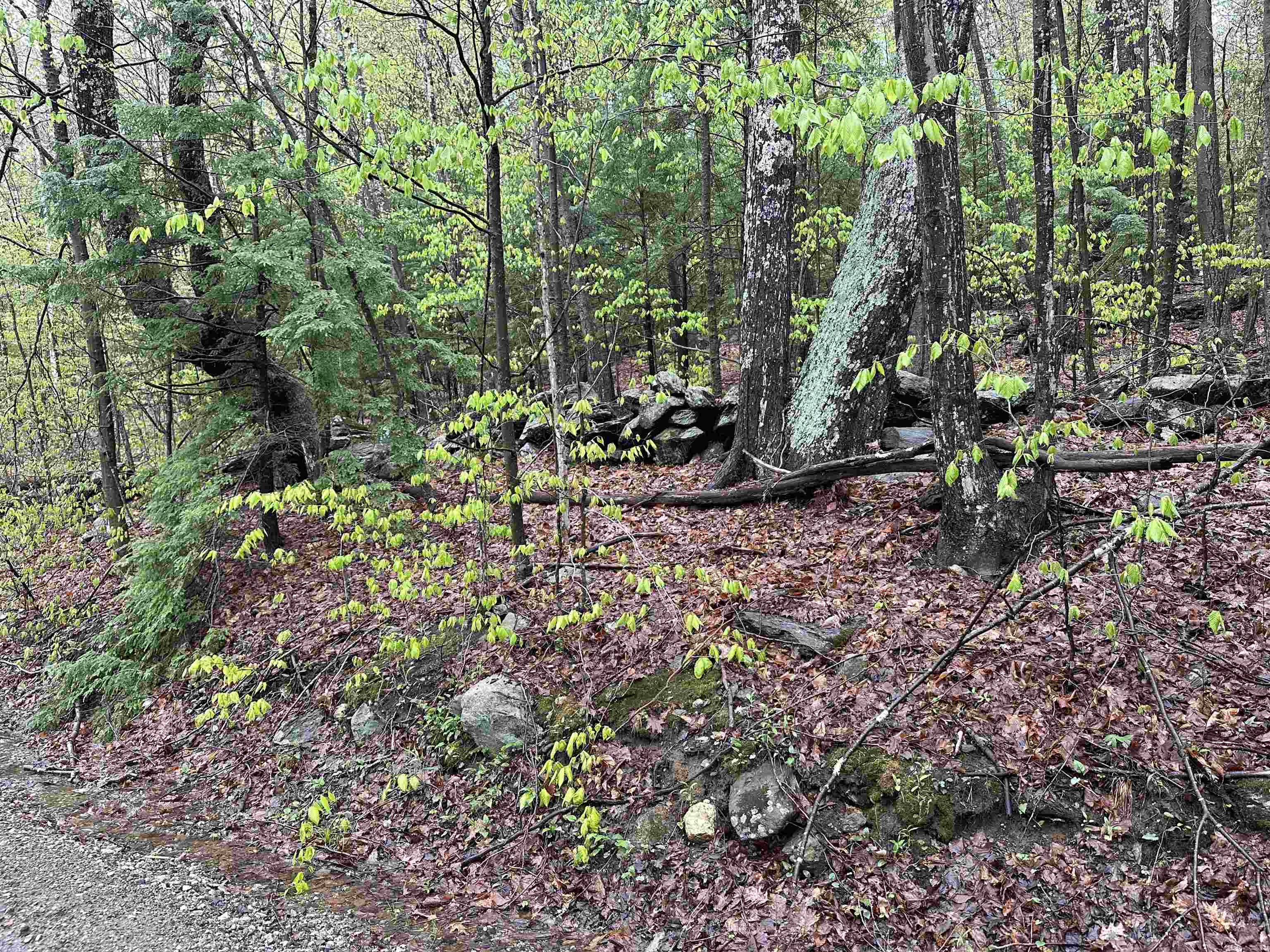 Lot 2 Wellington Hill Road