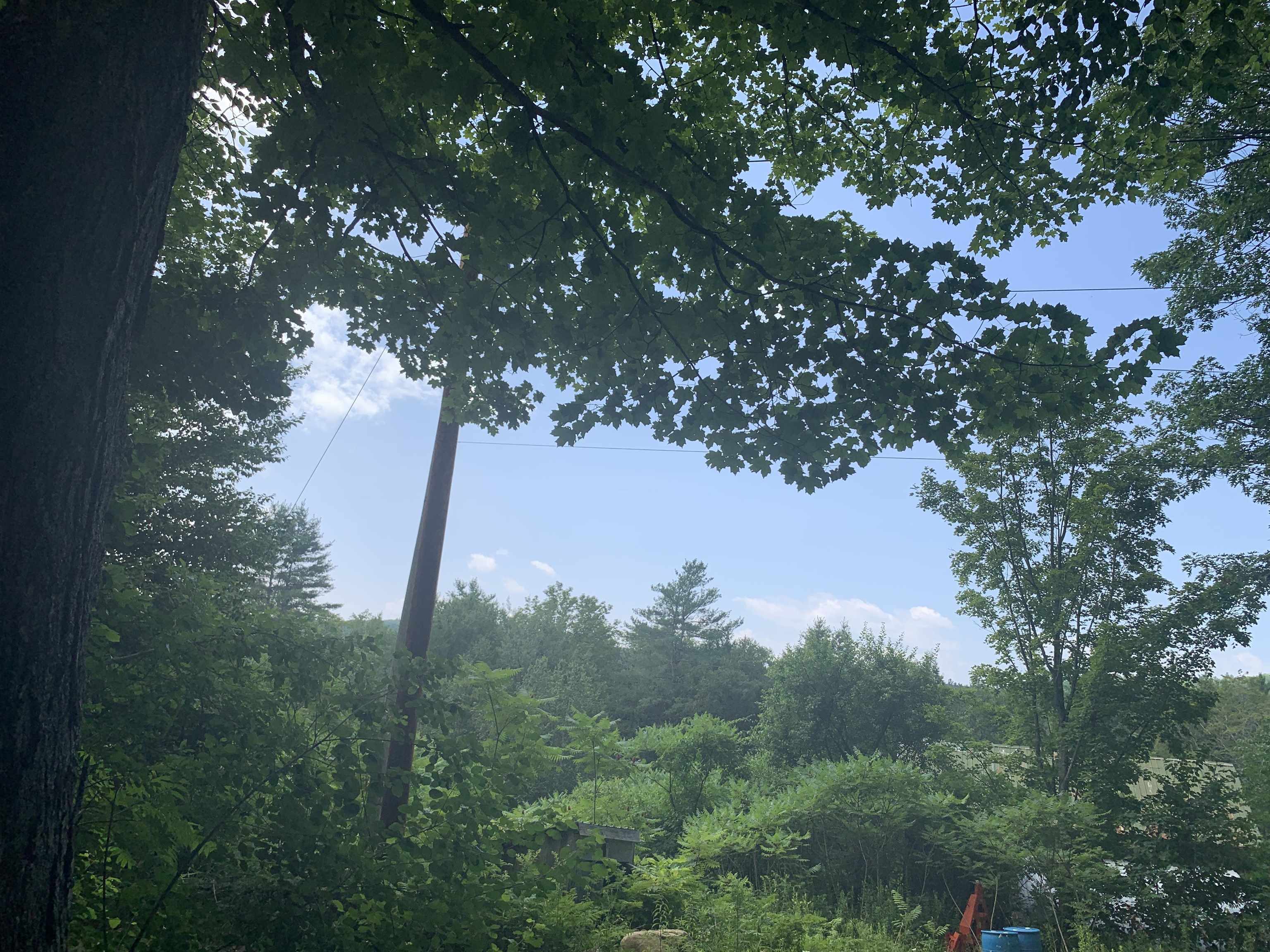 Lot 2 Wellington Hill Road