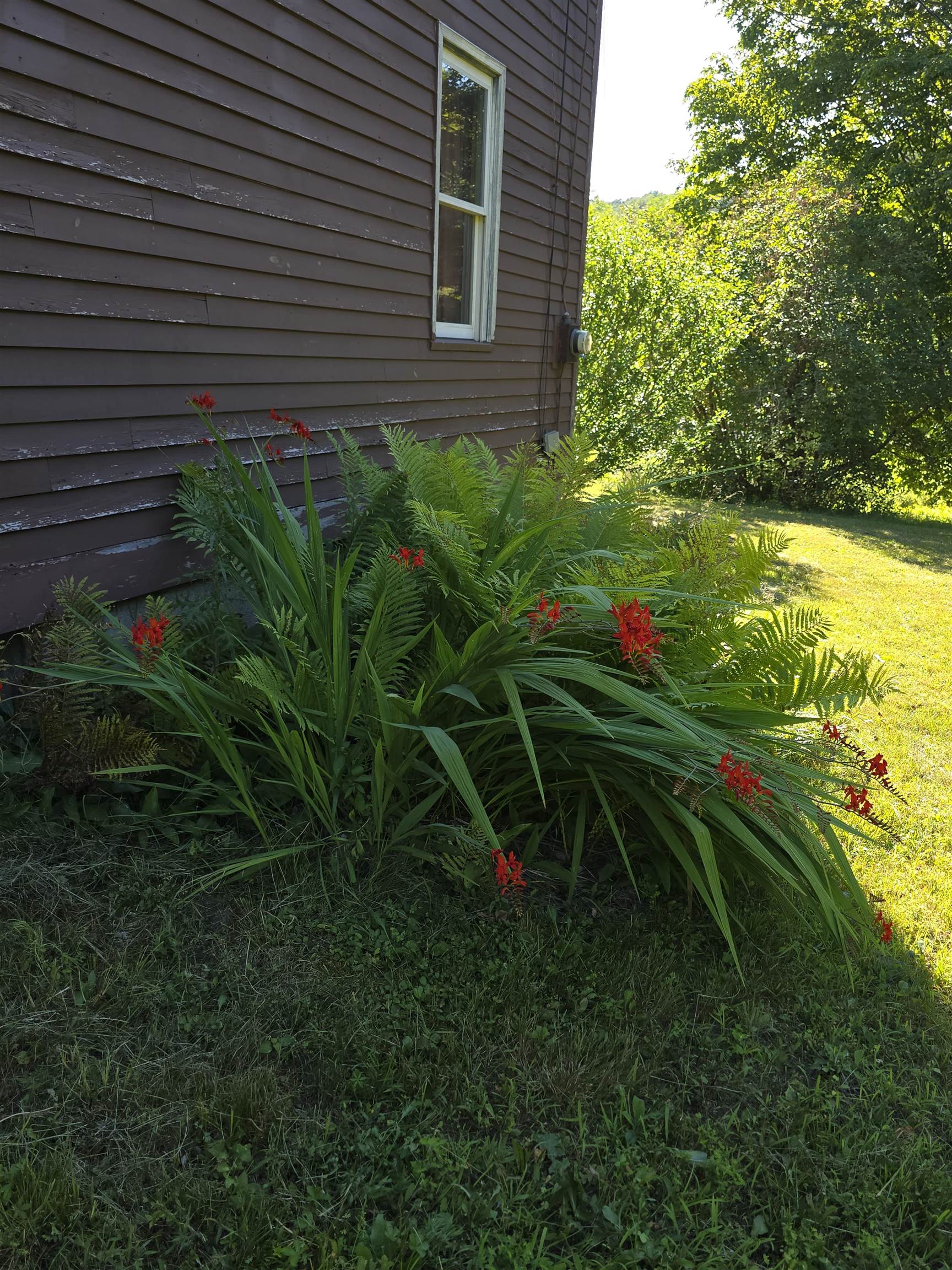 266 Robillard Road