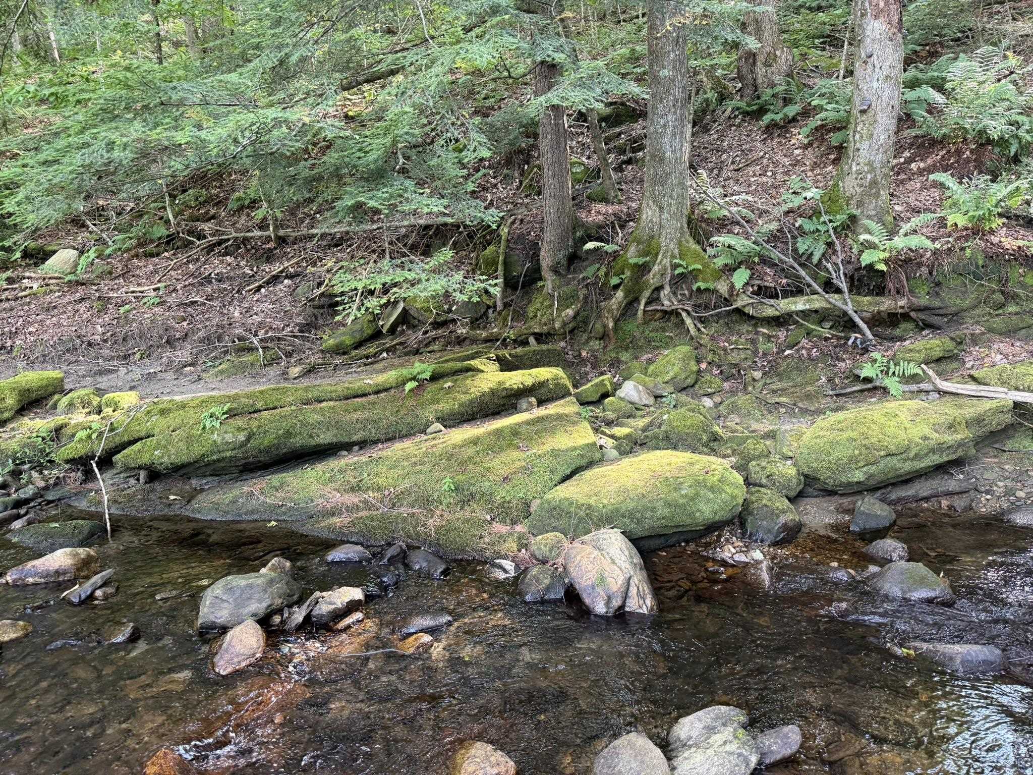 586 South Wardsboro Road