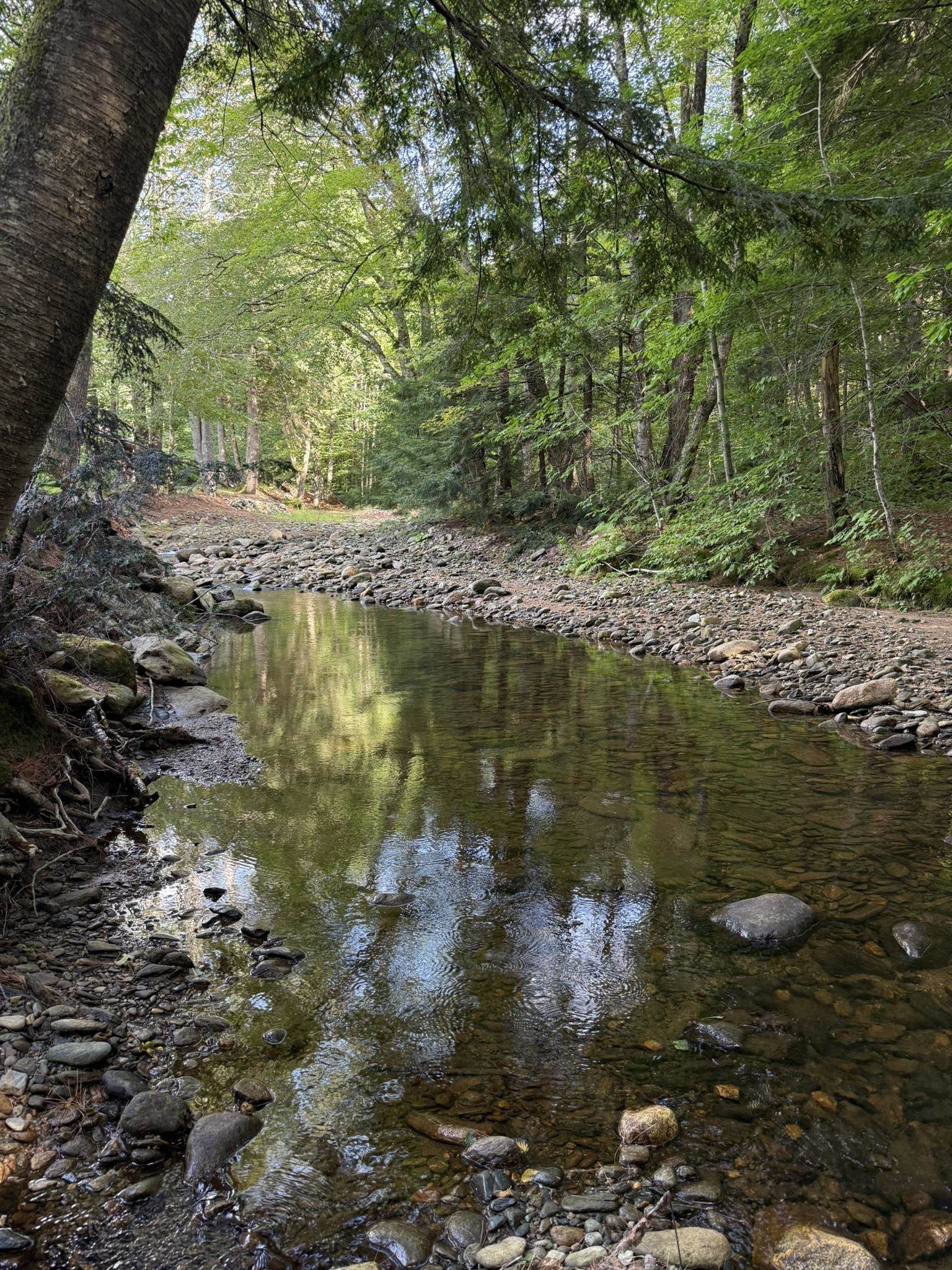 586 South Wardsboro Road