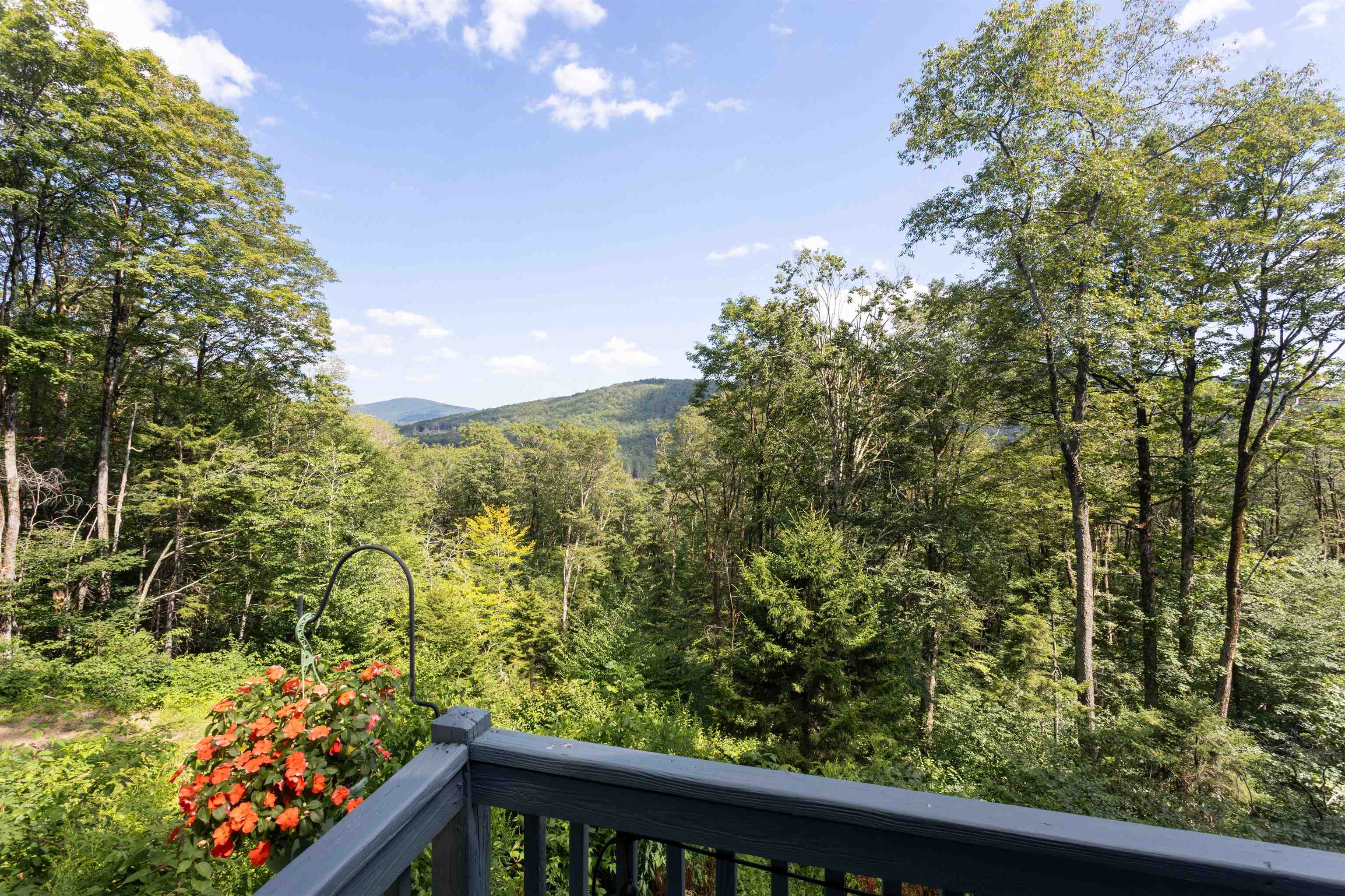 231 Bergrucken Lane