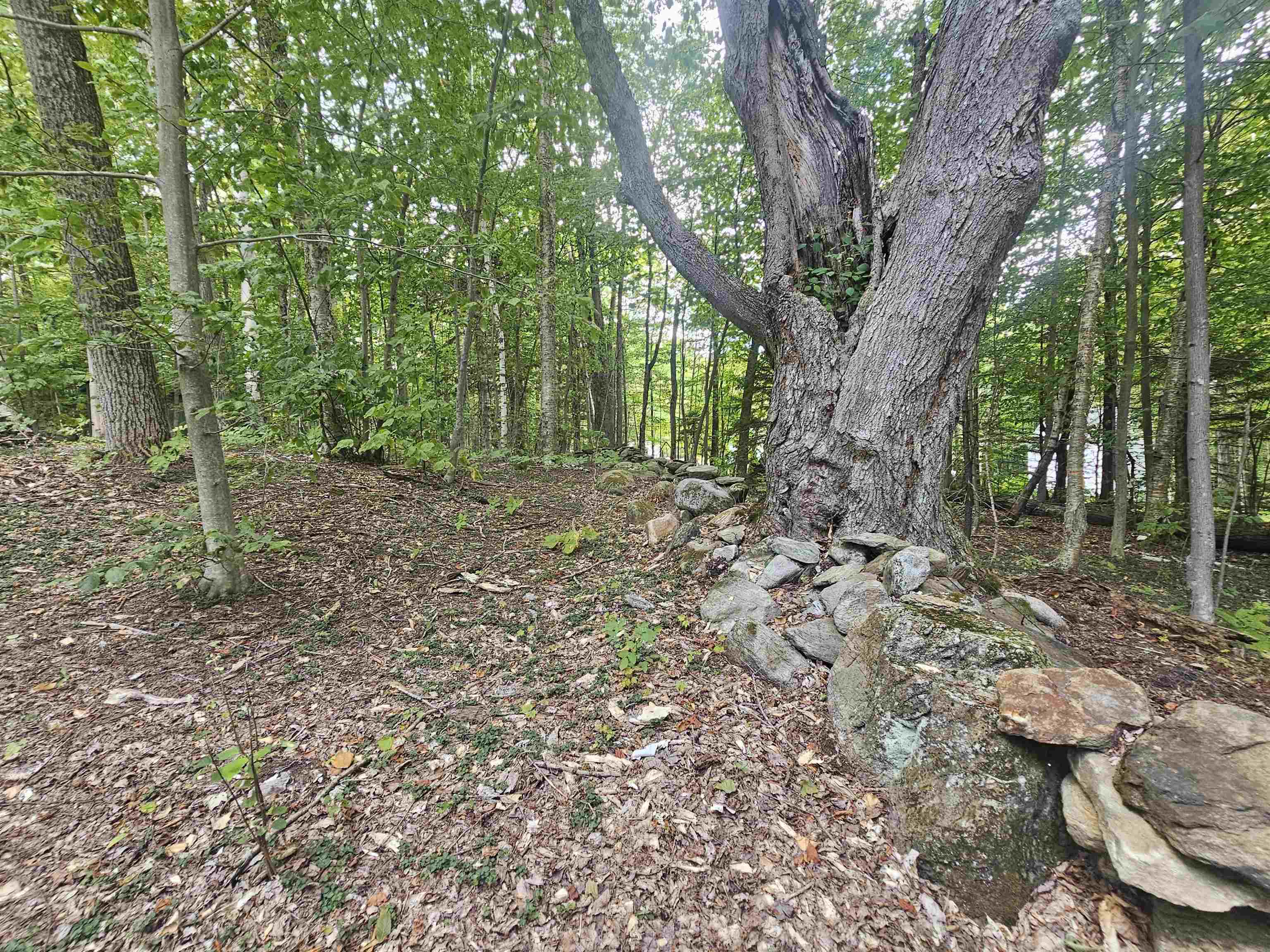 1051 Maple Hill Lane Unit: 4