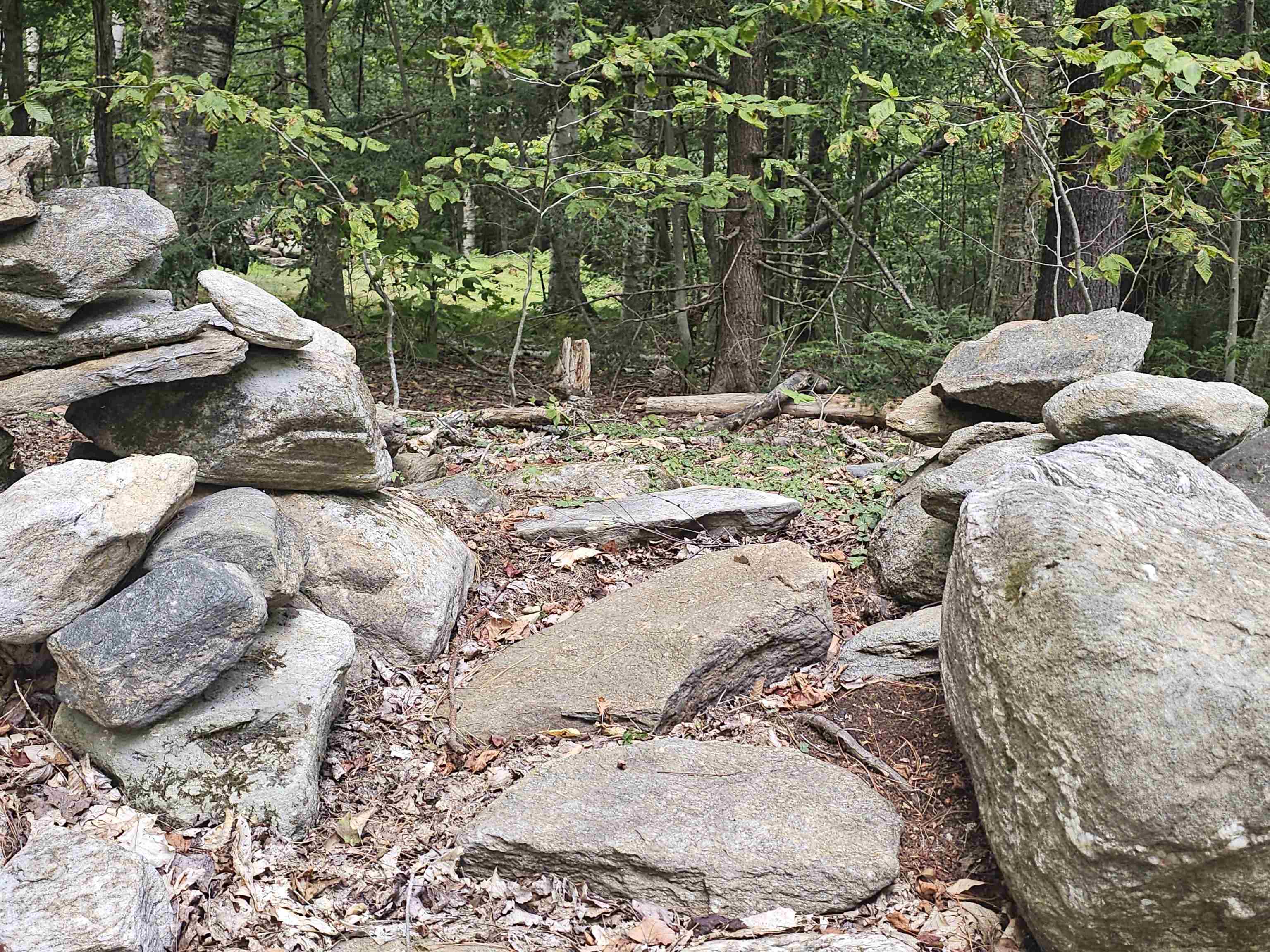 1051 Maple Hill Lane Unit: 4