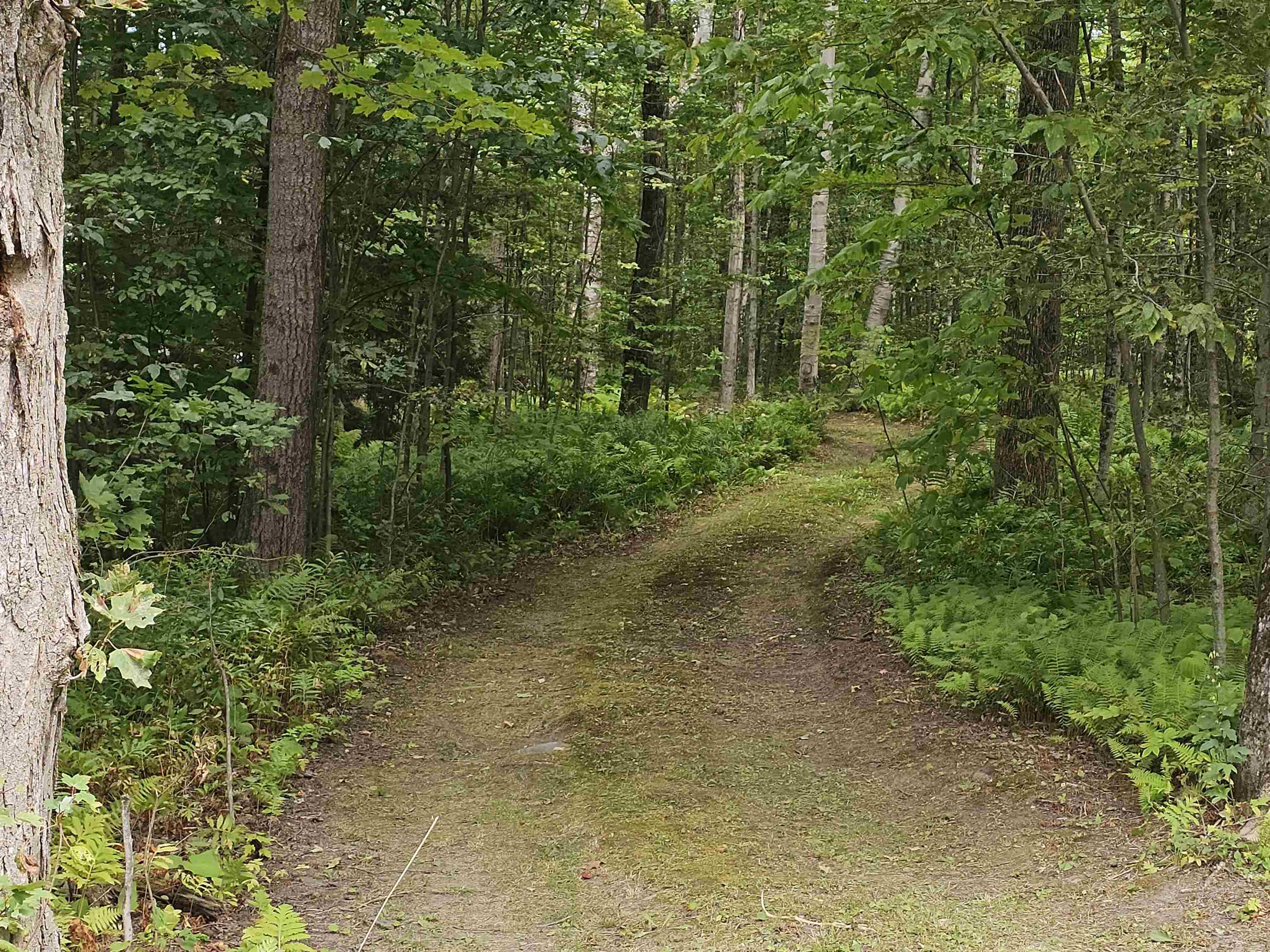 1051 Maple Hill Lane Unit: 4