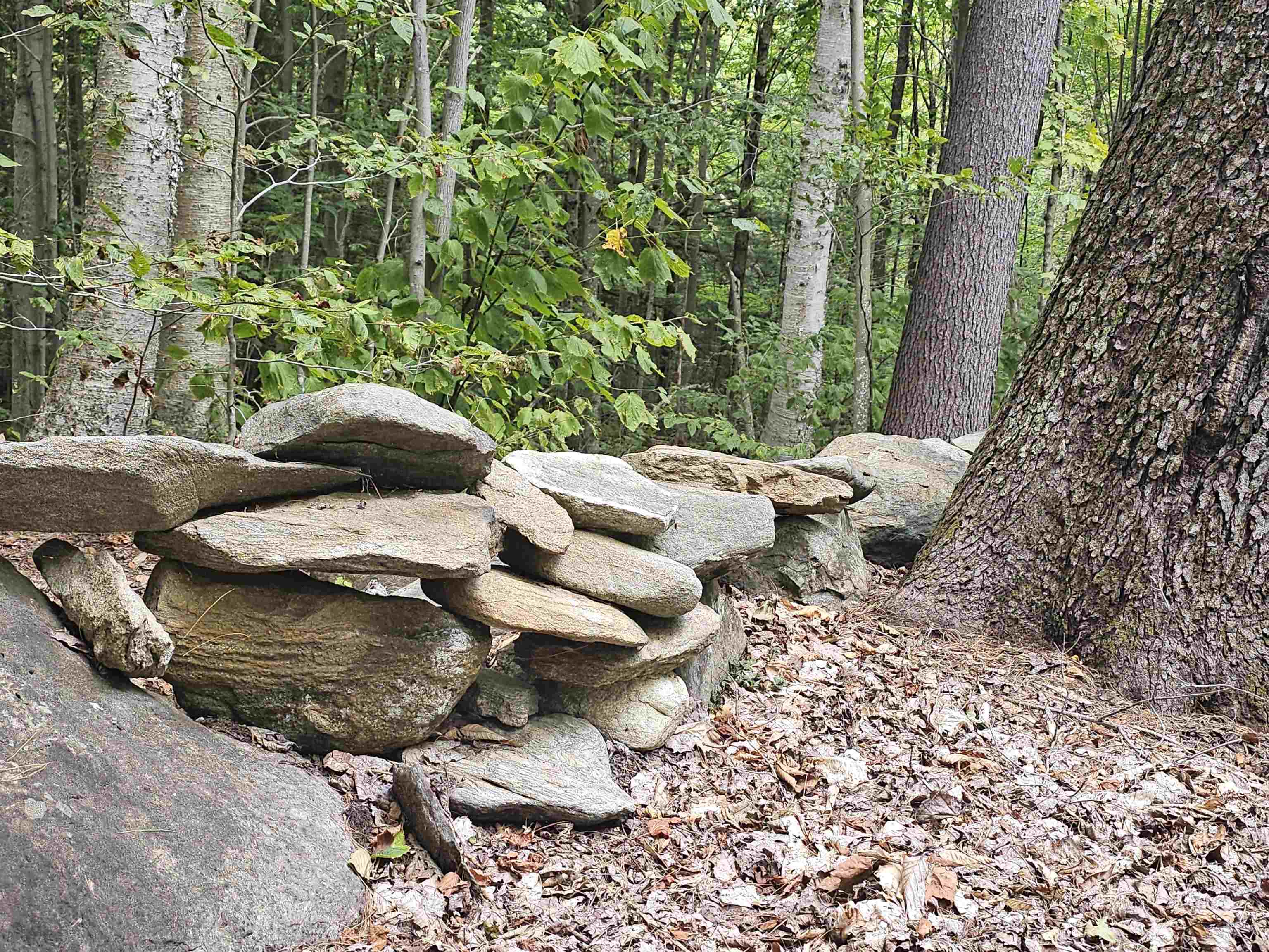 1051 Maple Hill Lane Unit: 4