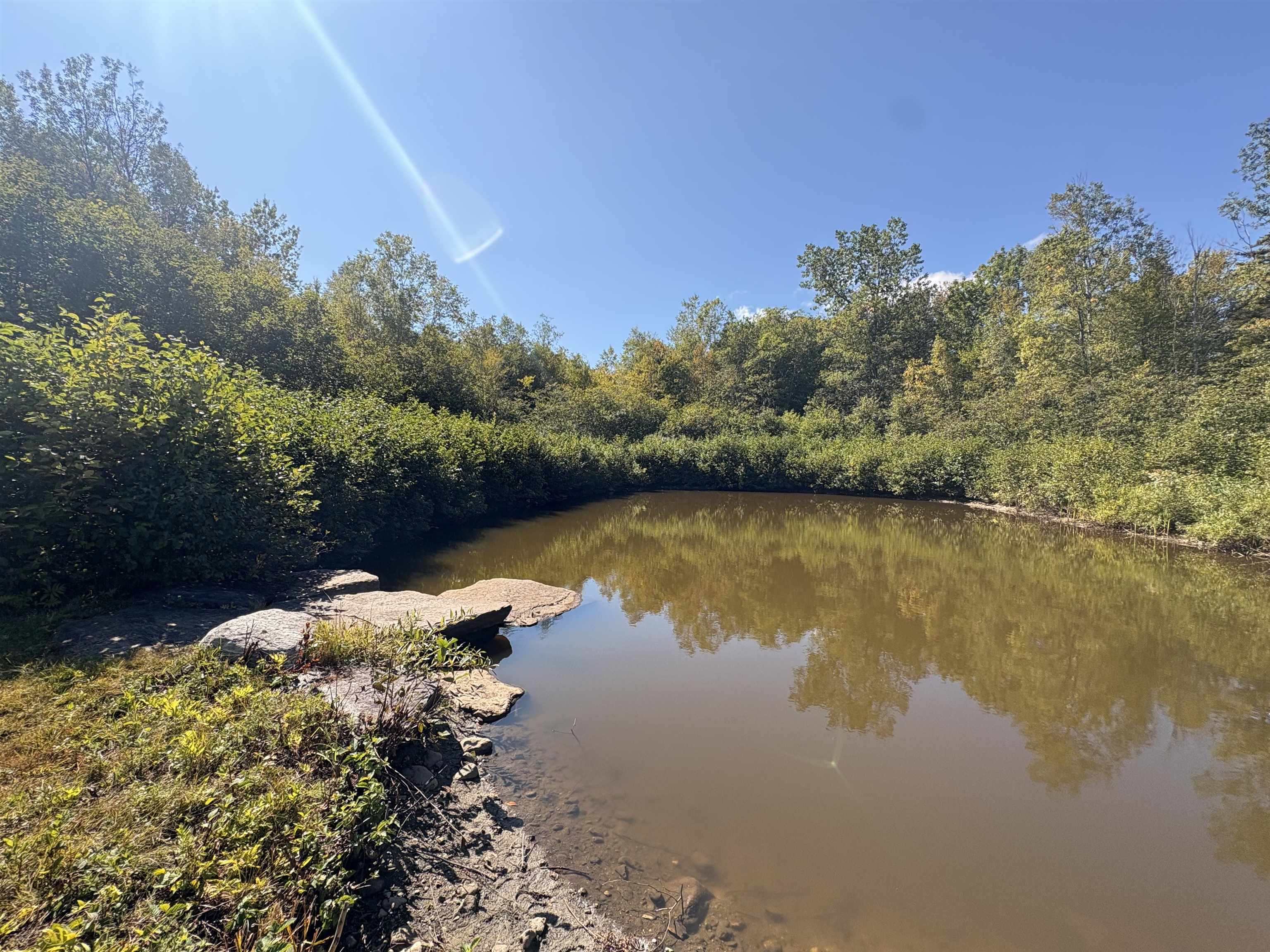 4 Juniors Way Unit: B