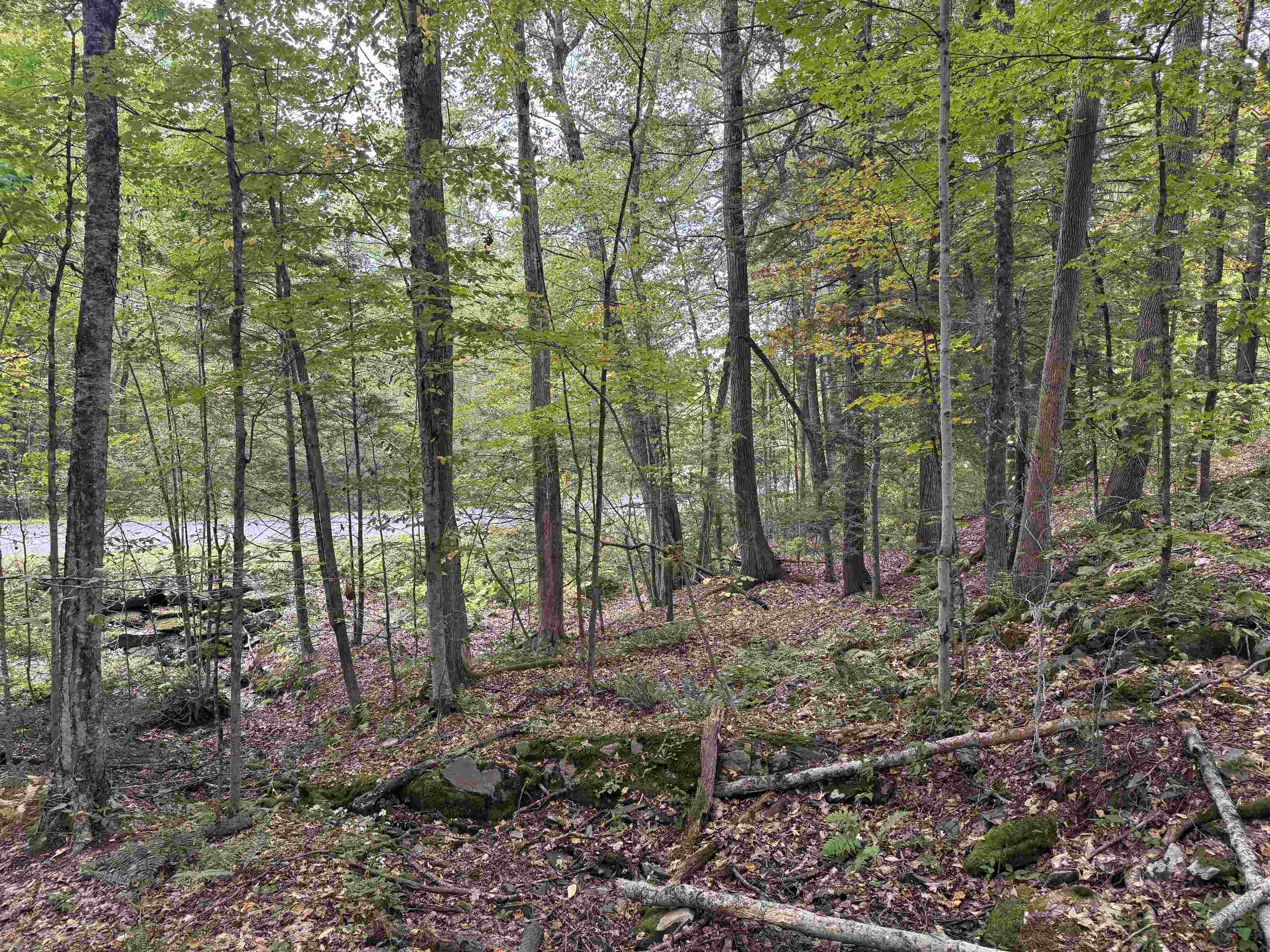 Kurn Hattin Road