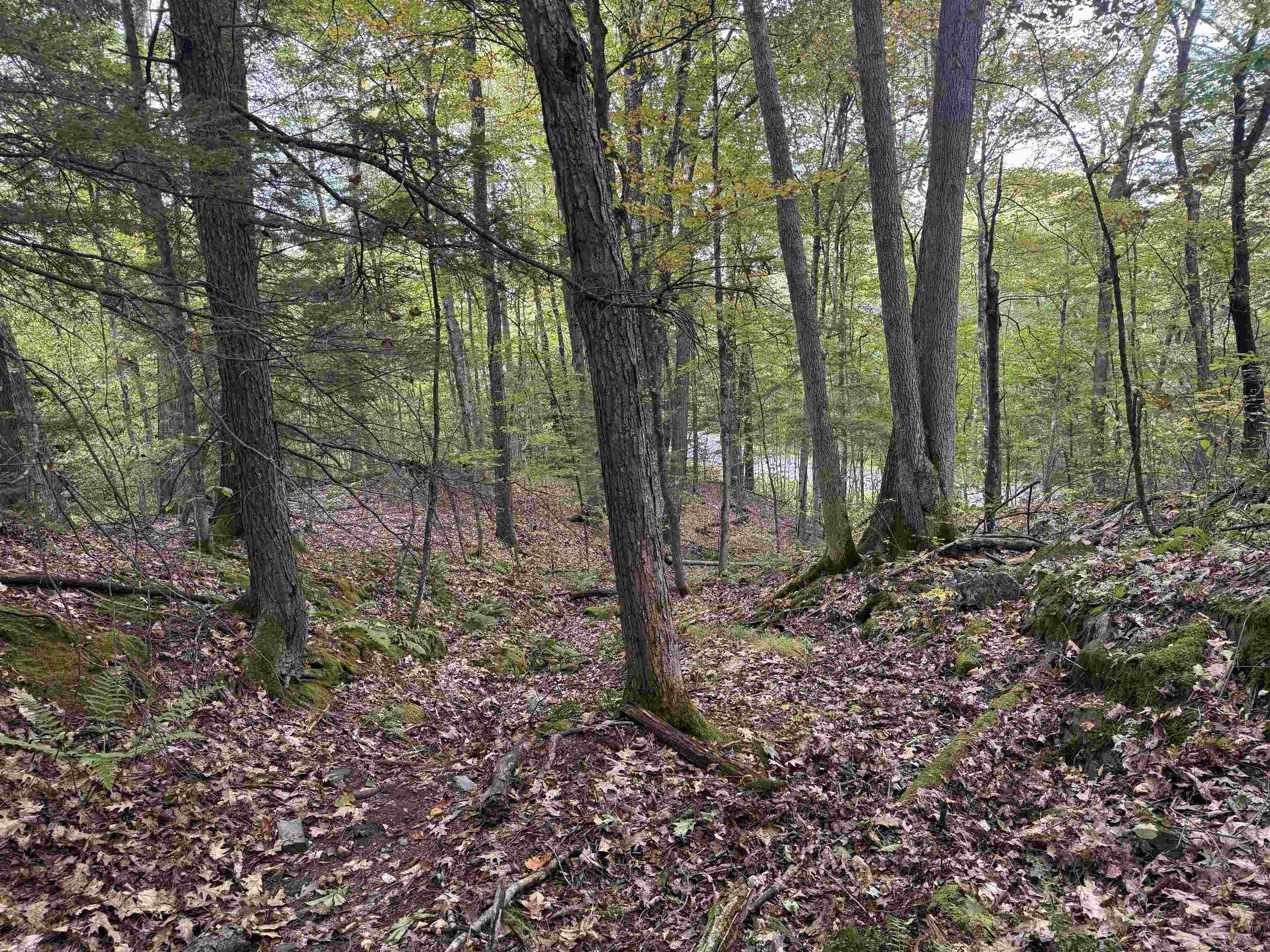 Kurn Hattin Road