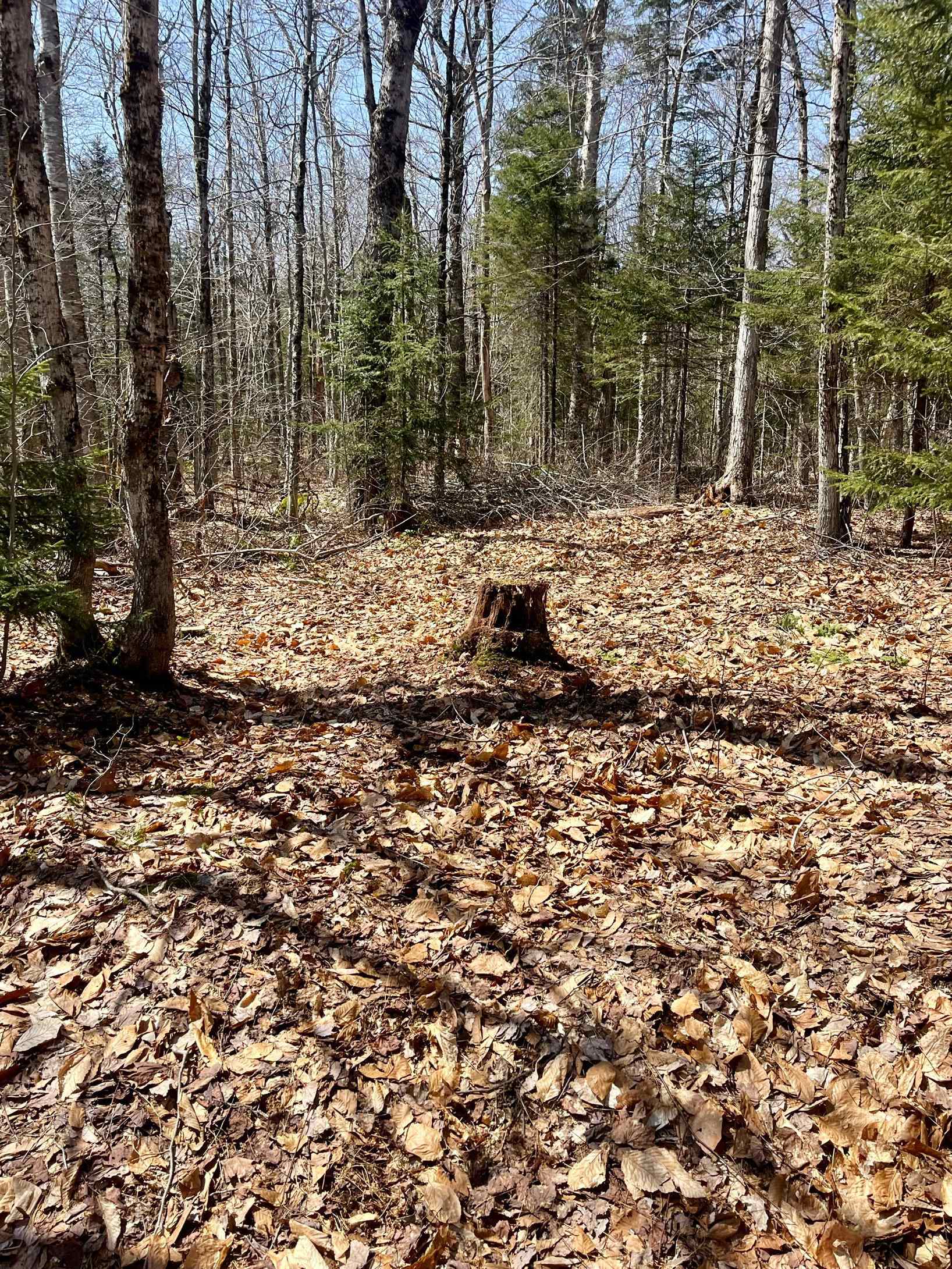 00 Oberdorf Road Unit: Lot 276