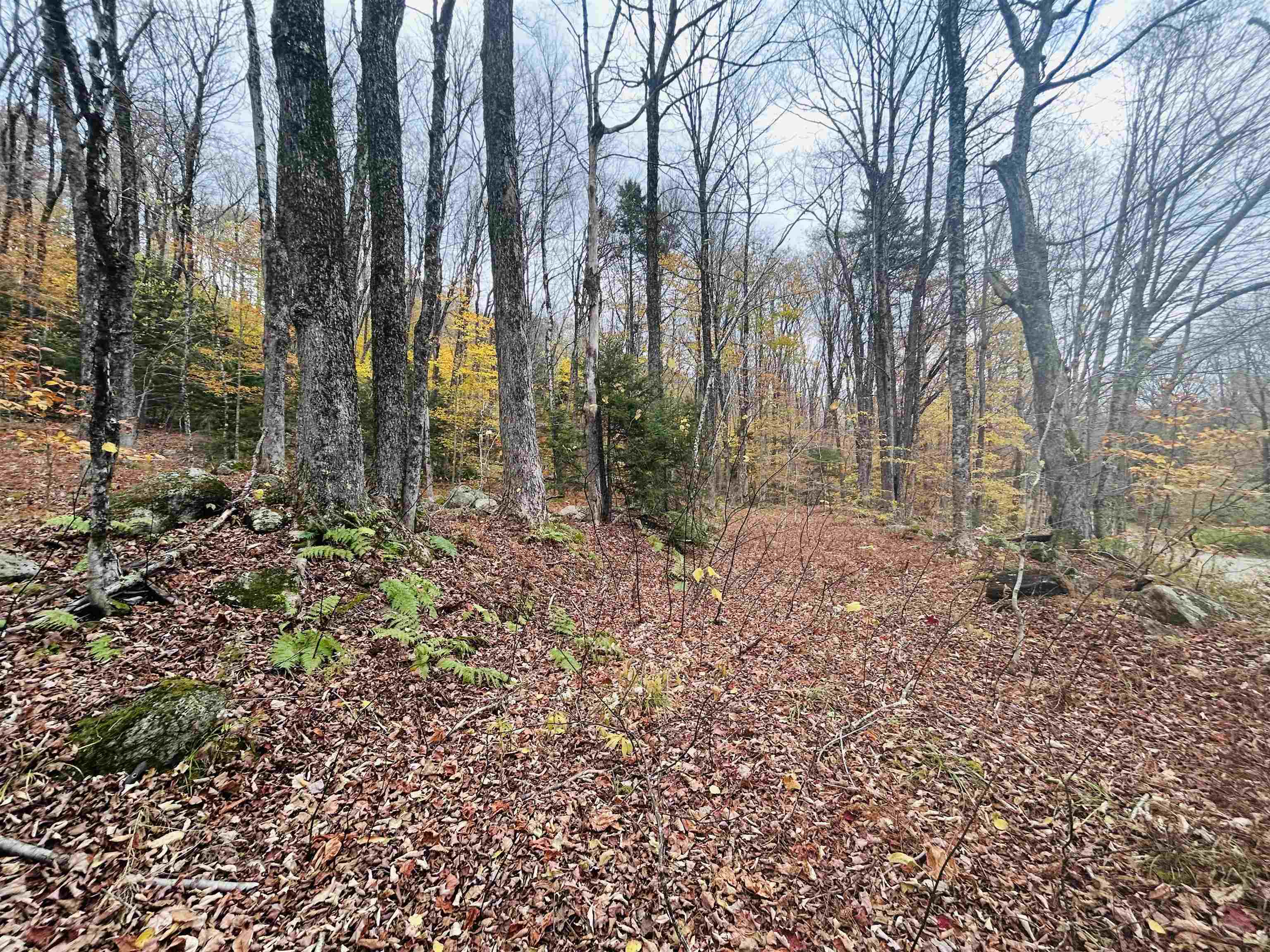 00 Alpendorf Avenue Unit: 88