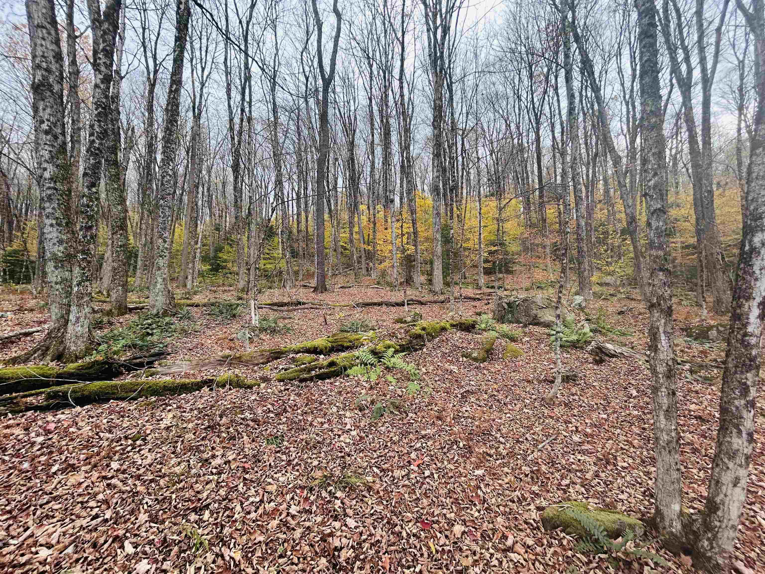 00 Alpendorf Avenue Unit: 88