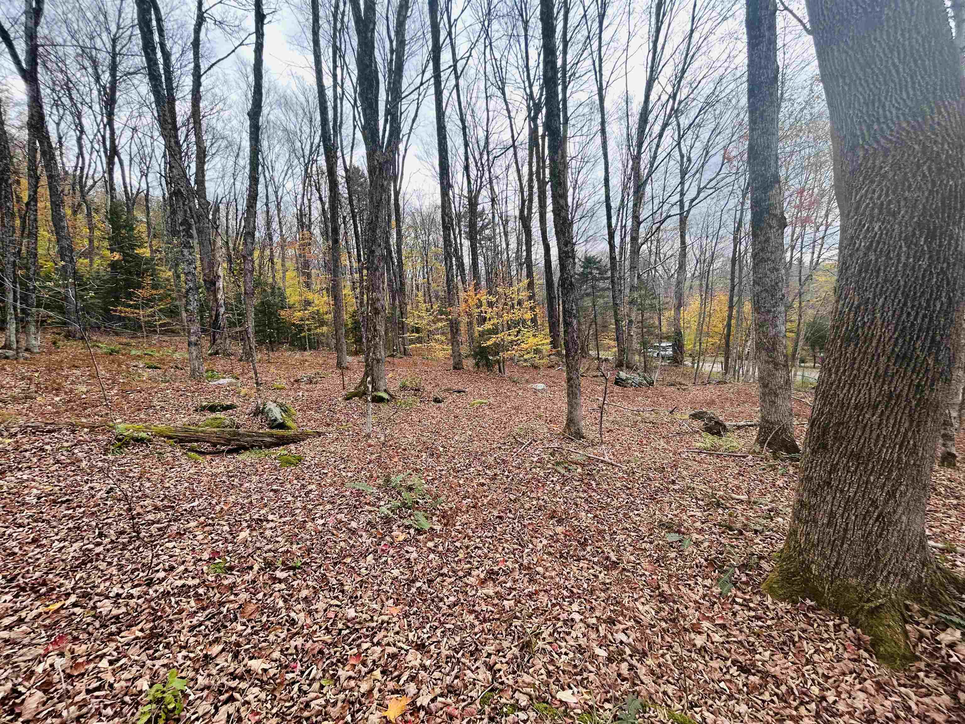 00 Alpendorf Avenue Unit: 88