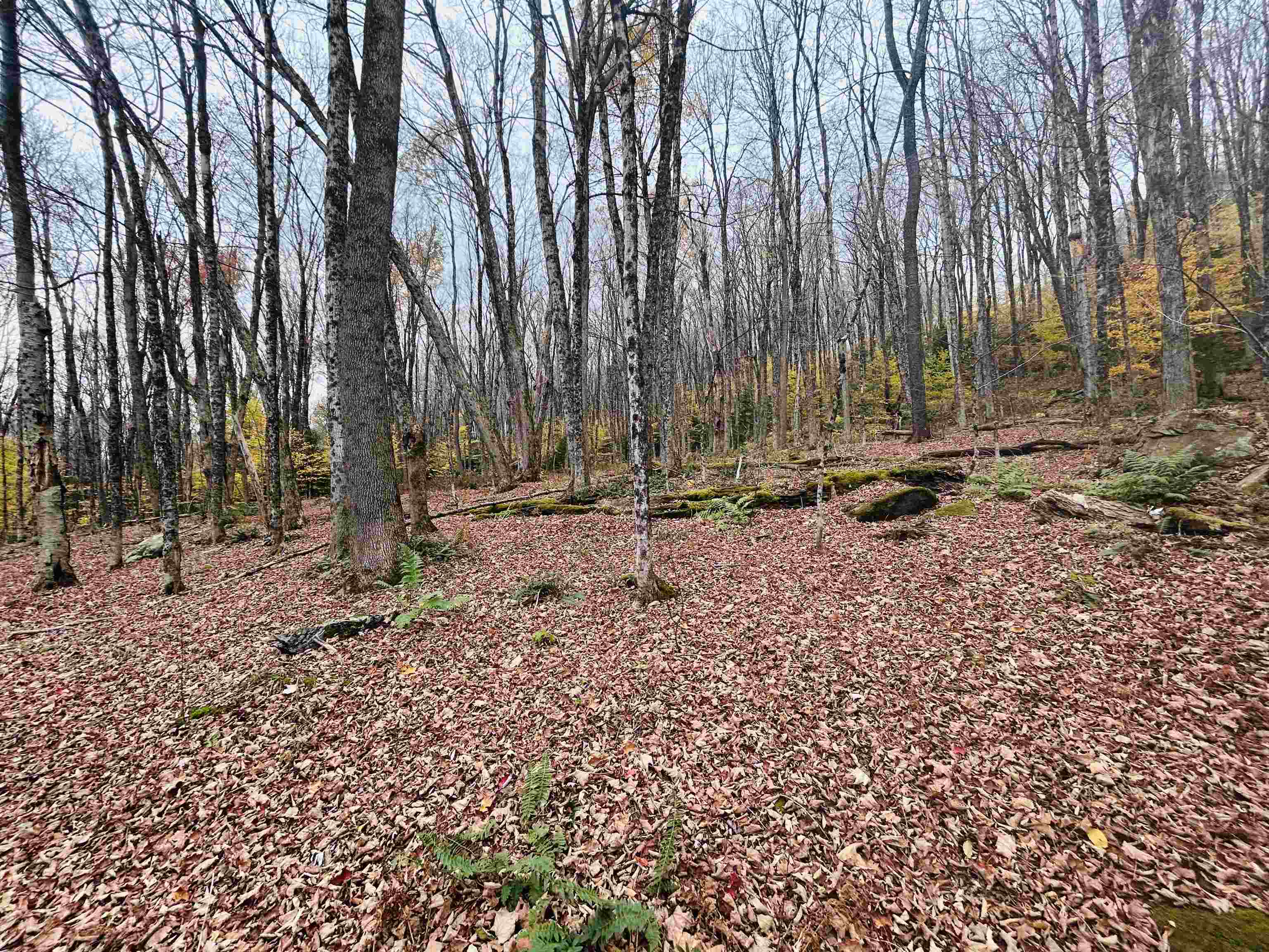 00 Alpendorf Avenue Unit: 88