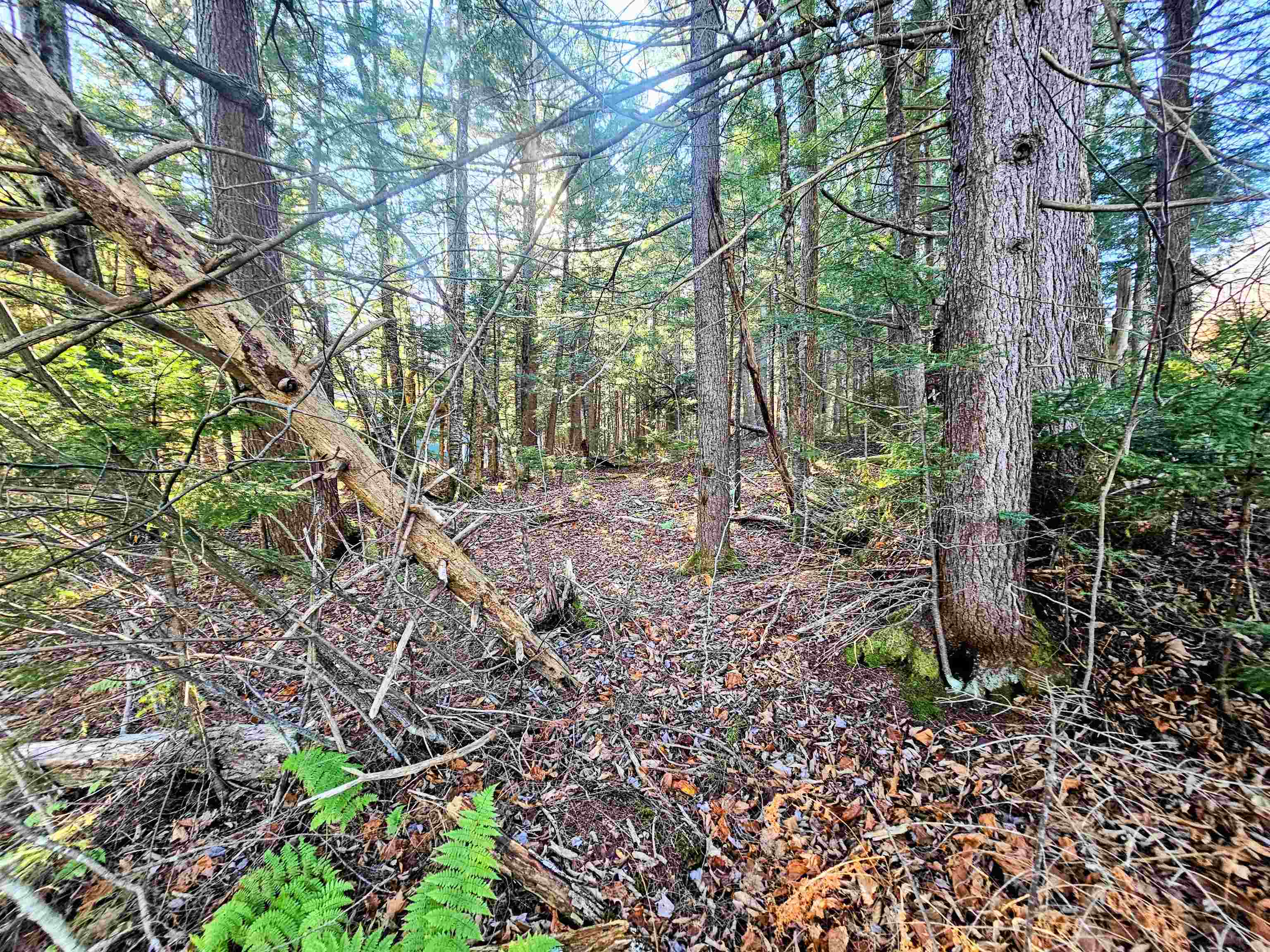 00 Country Court Road Unit: Lot 693