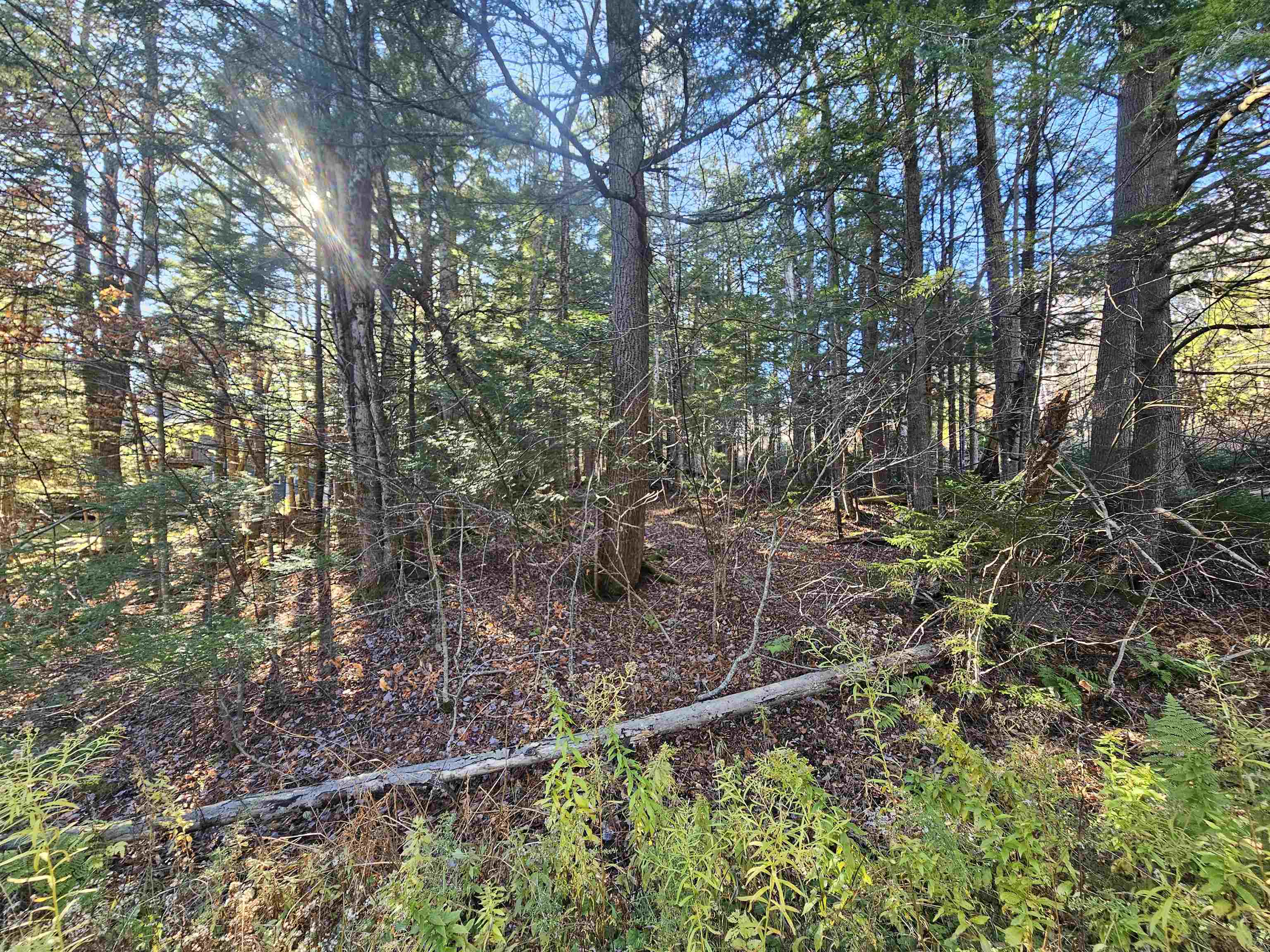 00 Country Court Road Unit: Lot 693