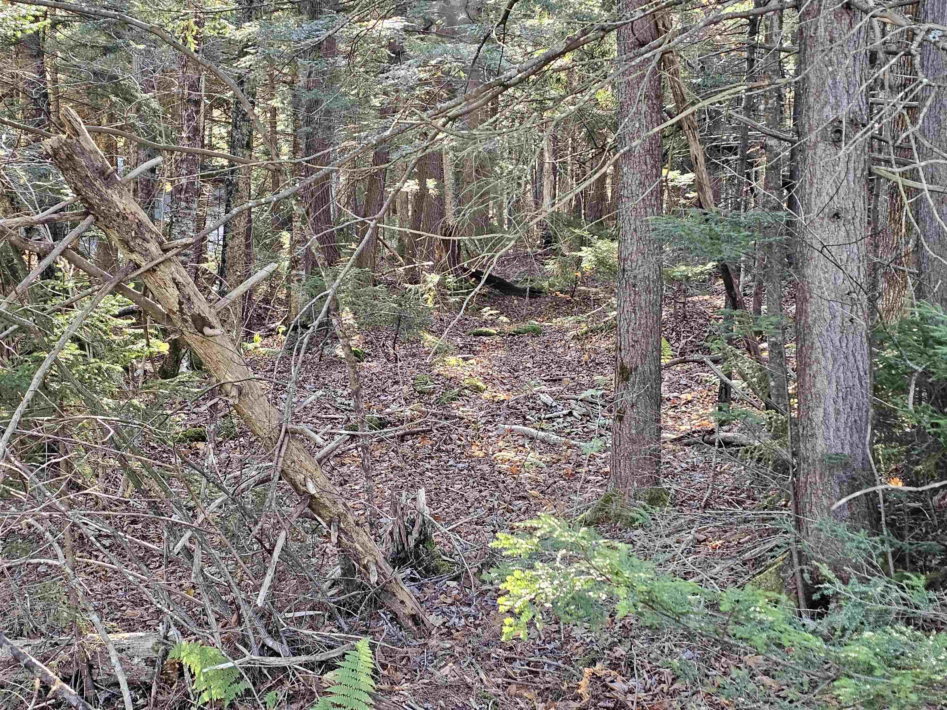 00 Country Court Road Unit: Lot 693