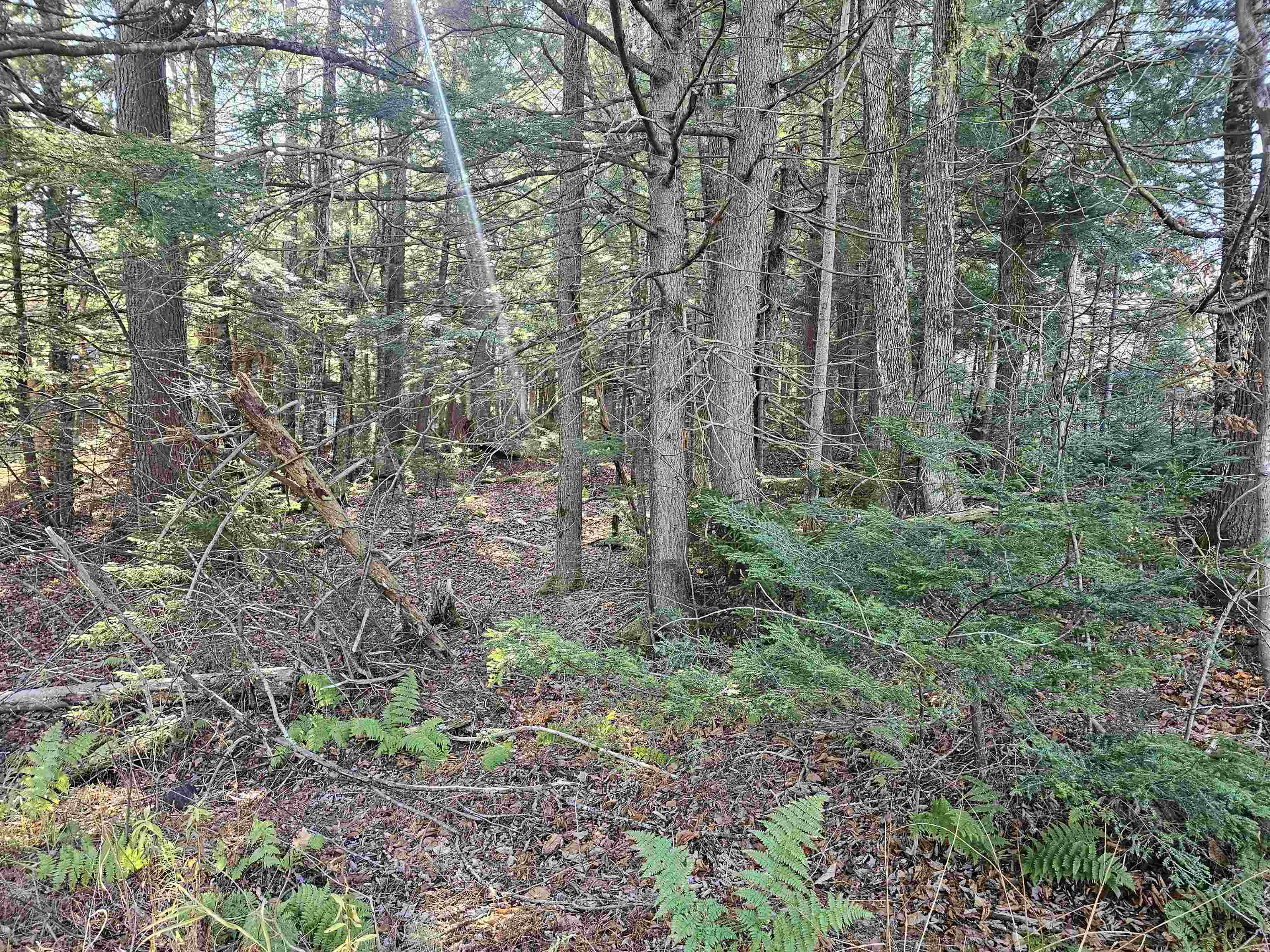 00 Country Court Road Unit: Lot 693