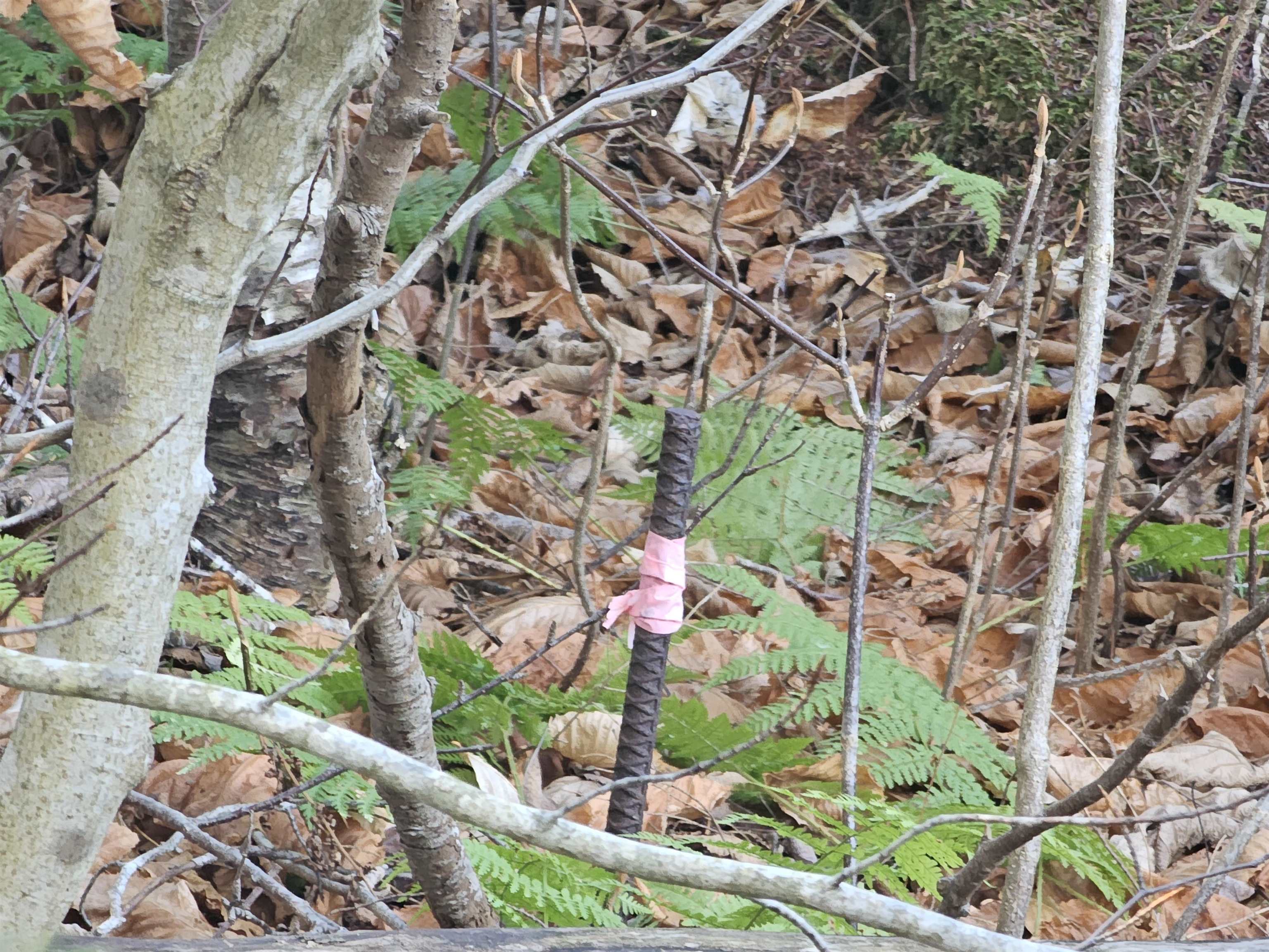 00 Country Court Road Unit: Lot 693