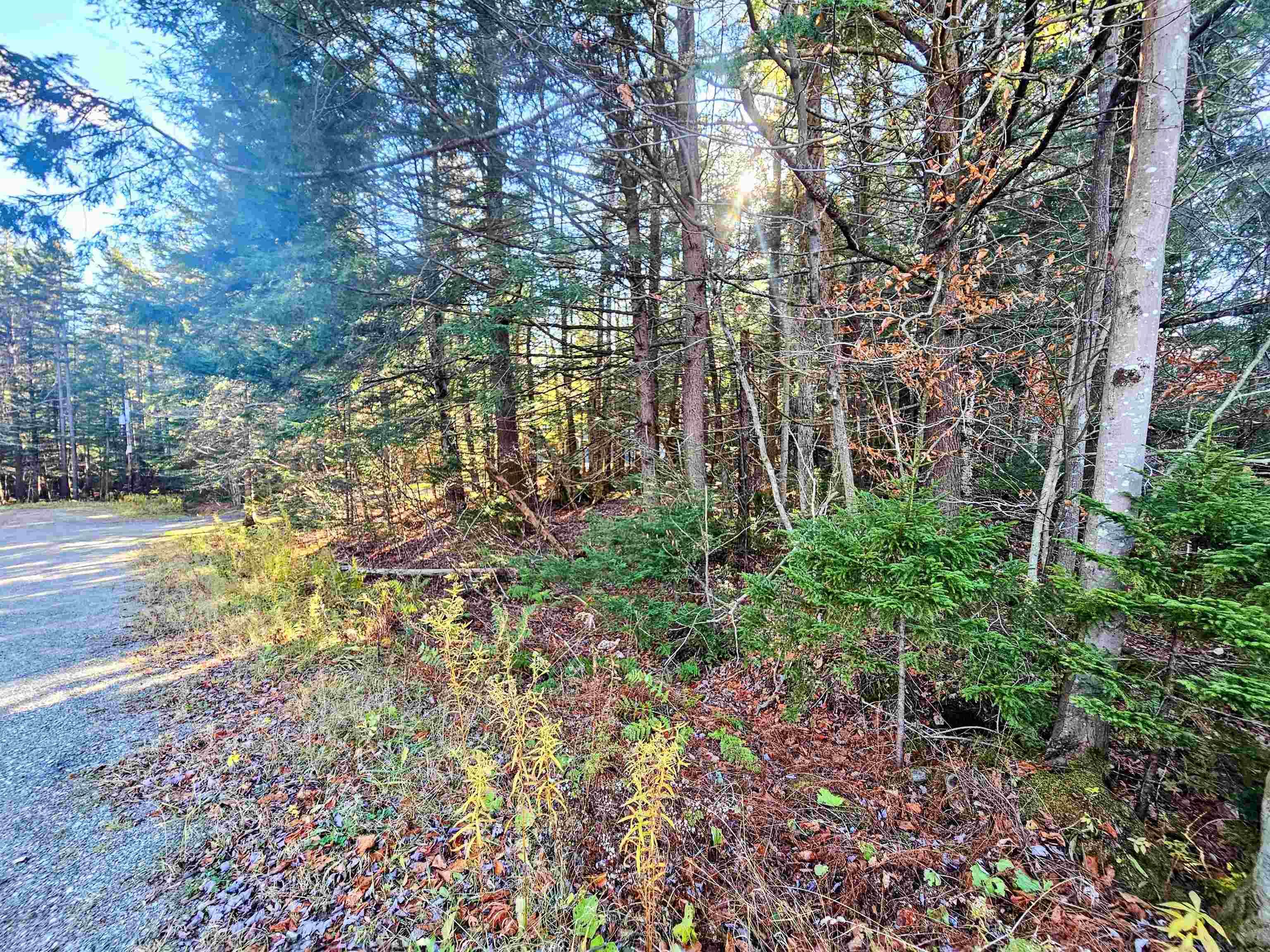 00 Country Court Road Unit: Lot 693