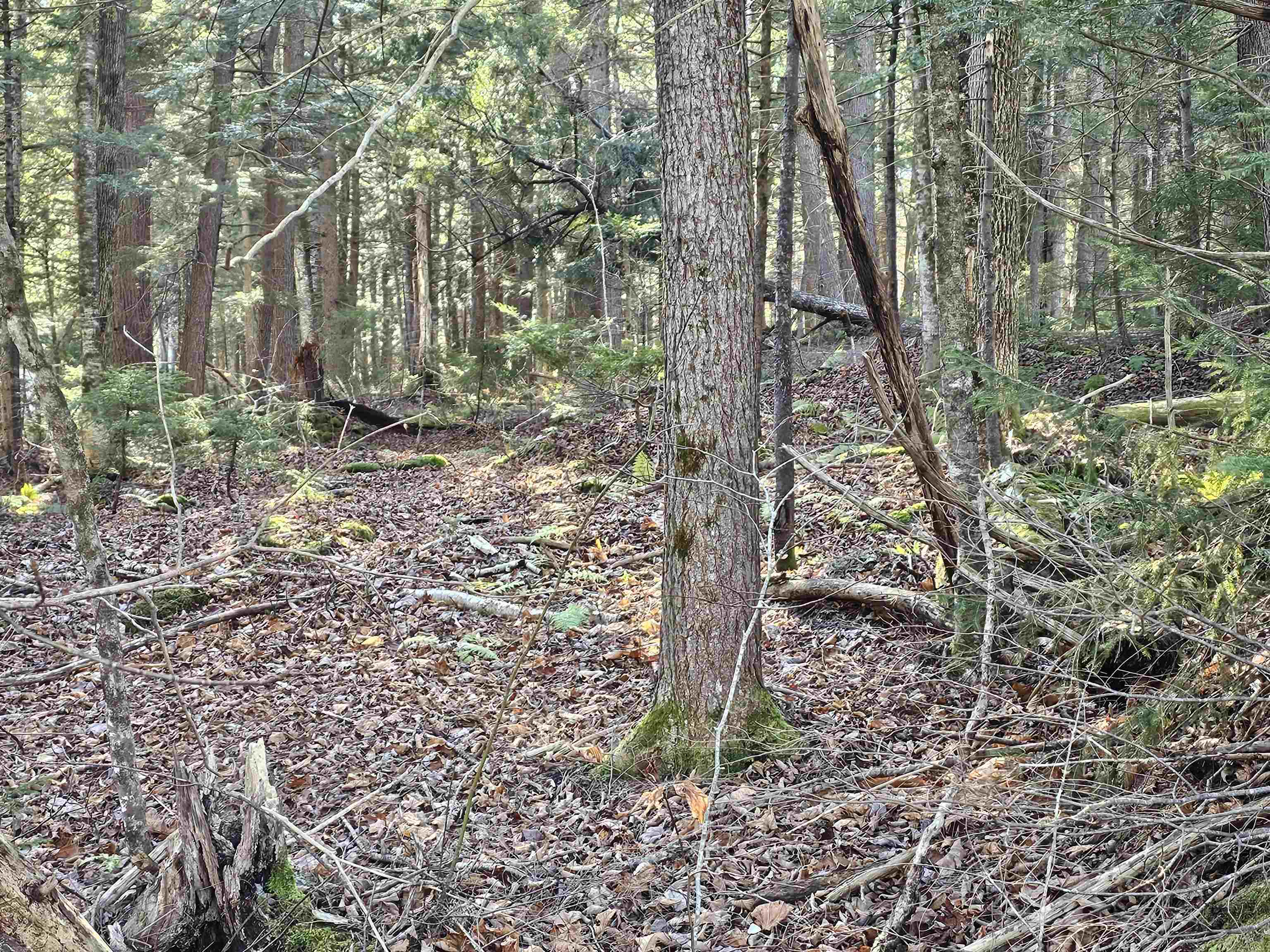 00 Country Court Road Unit: Lot 693