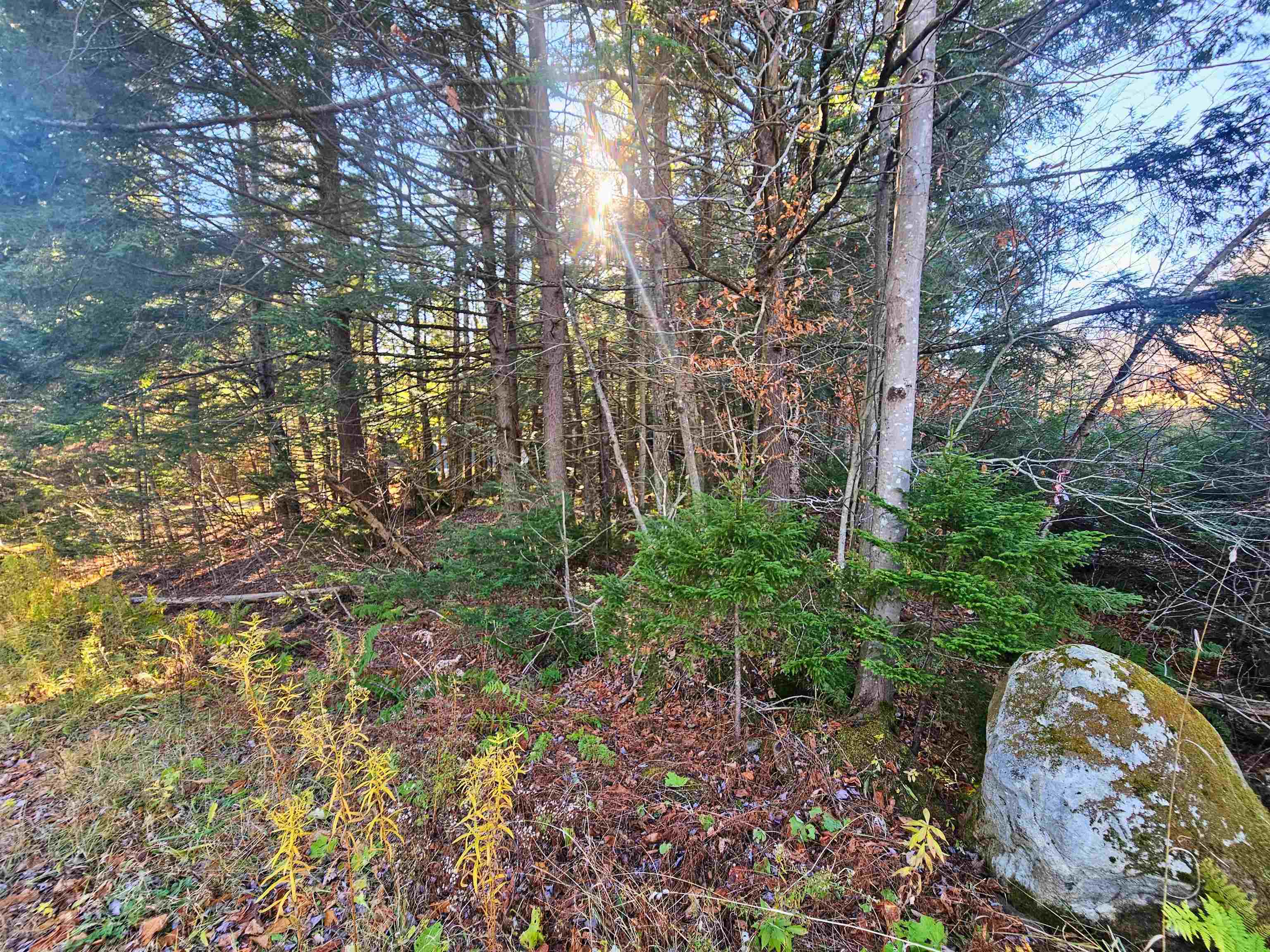 00 Country Court Road Unit: Lot 693