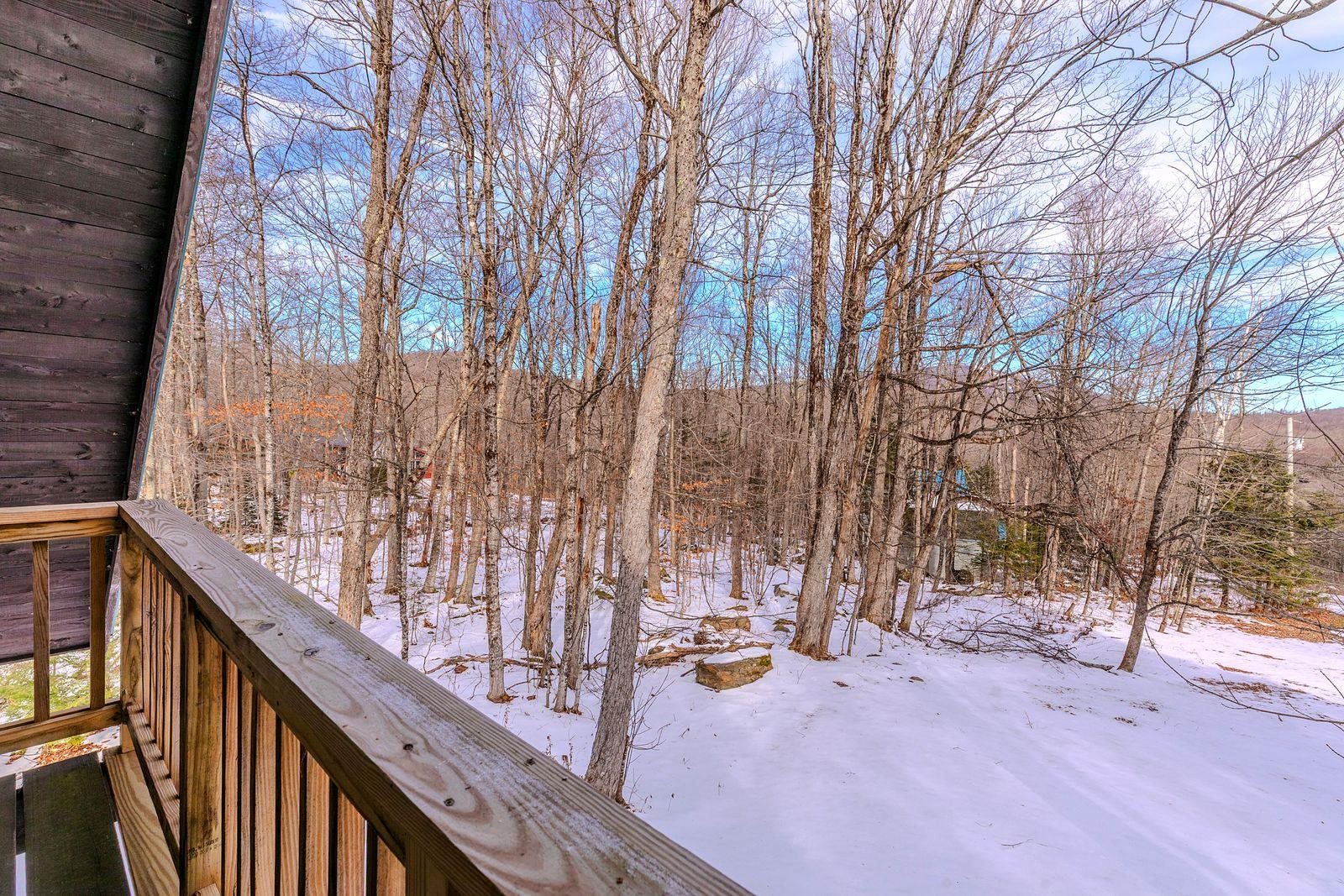 8 Winhall Woods Road