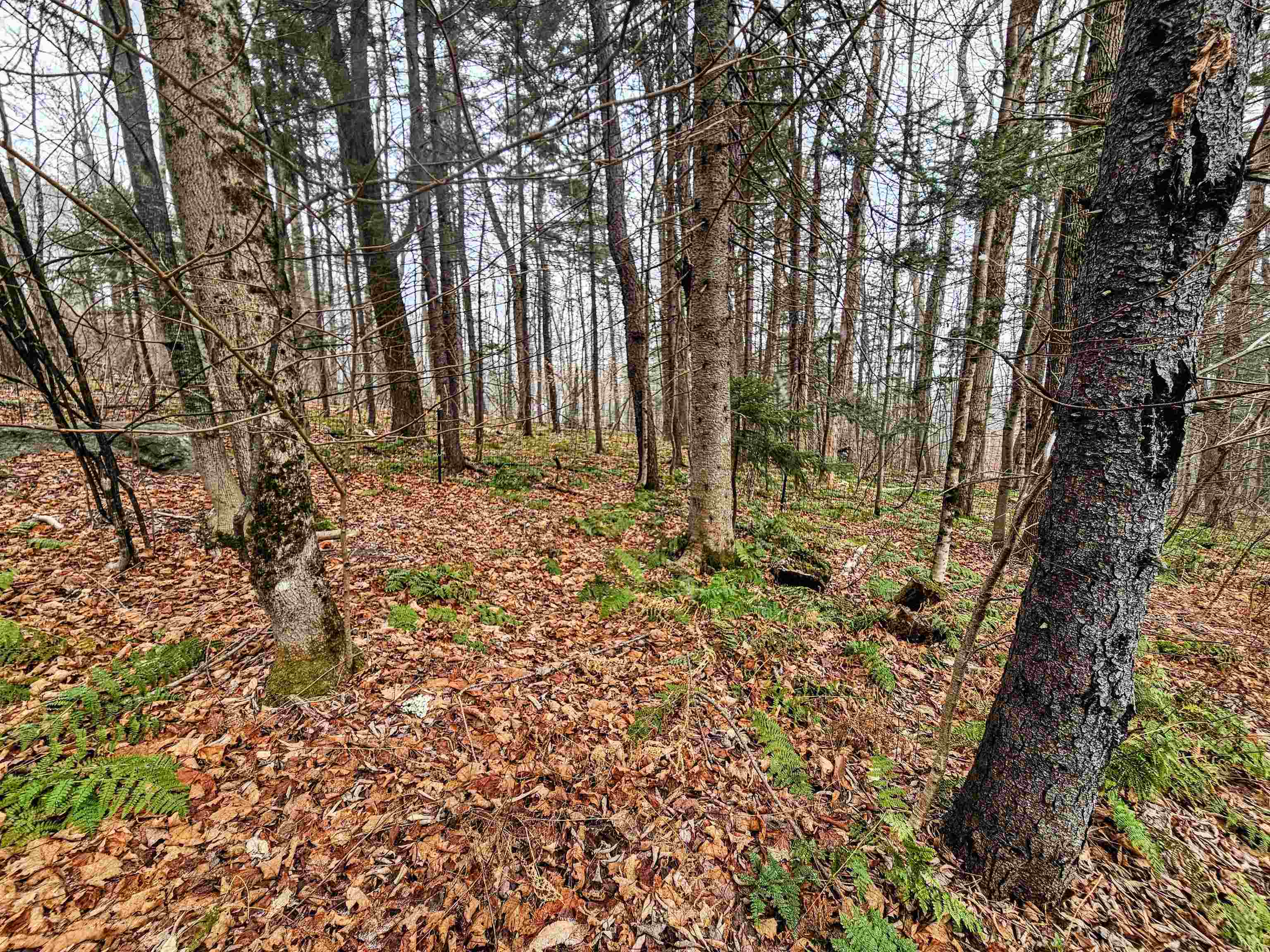 210 Burrington Hill Road