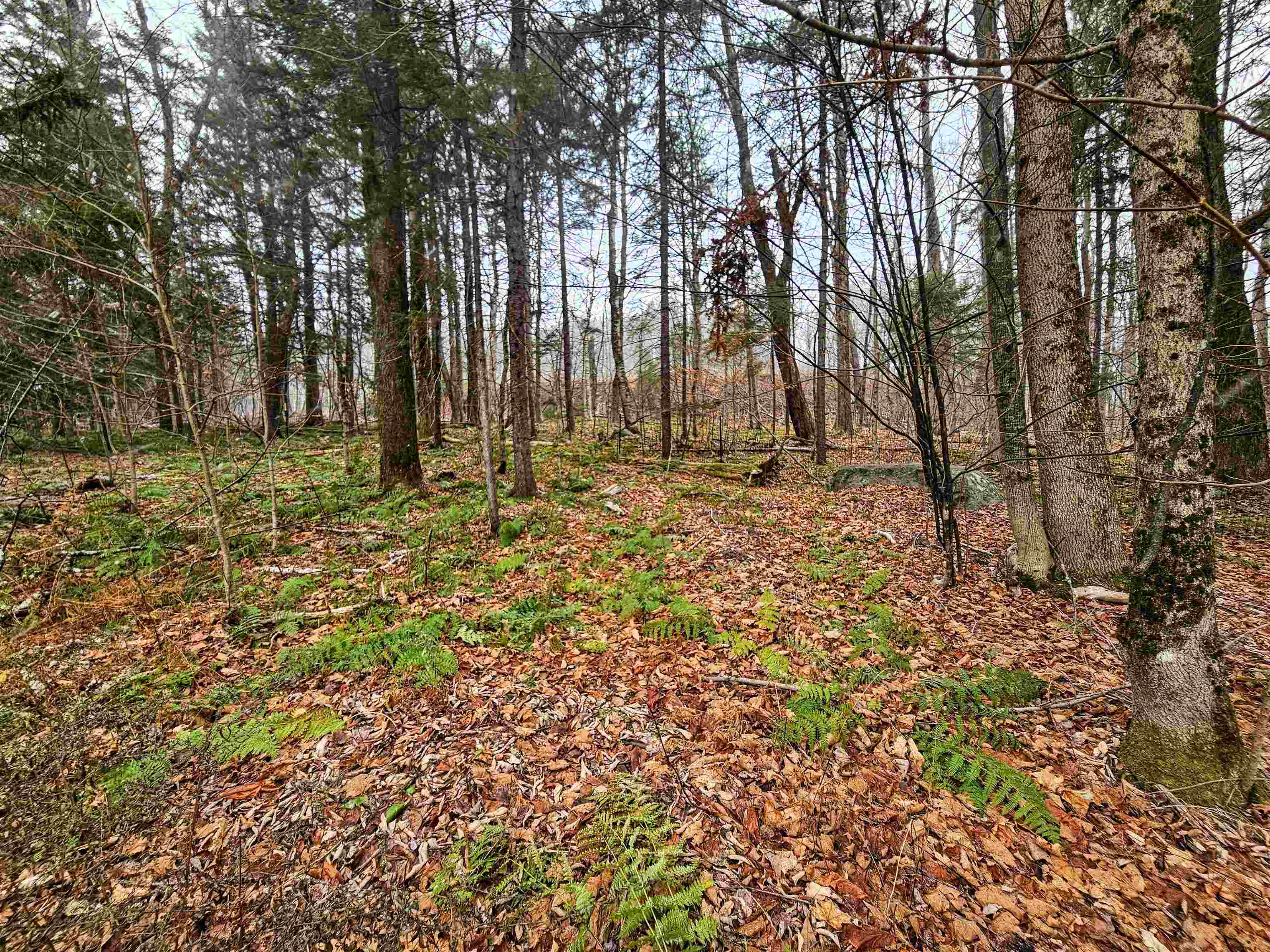 210 Burrington Hill Road