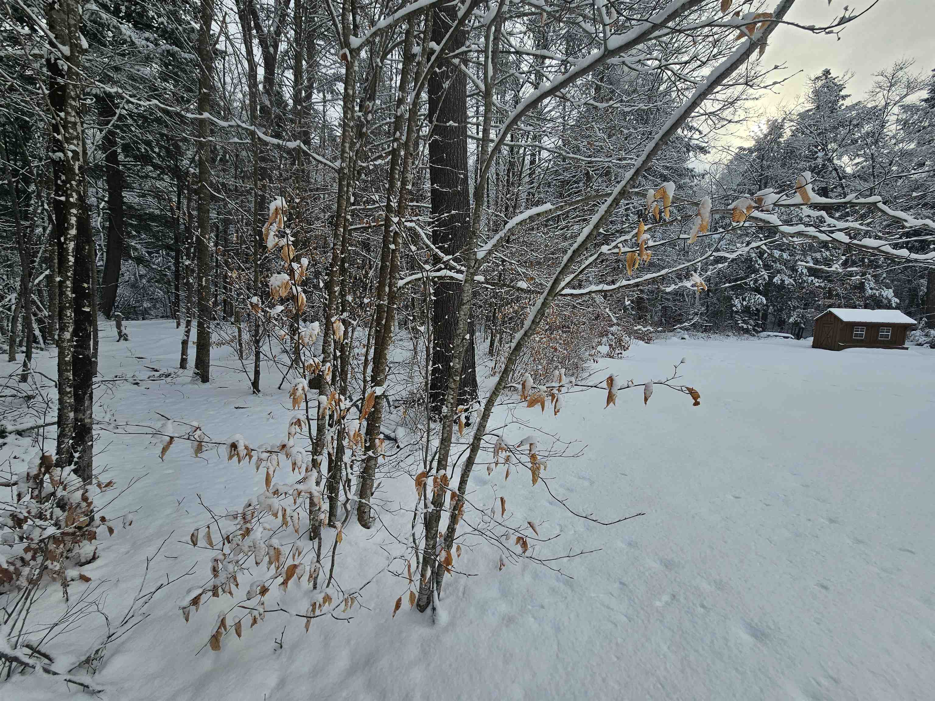 756 Turkey Mountain Road