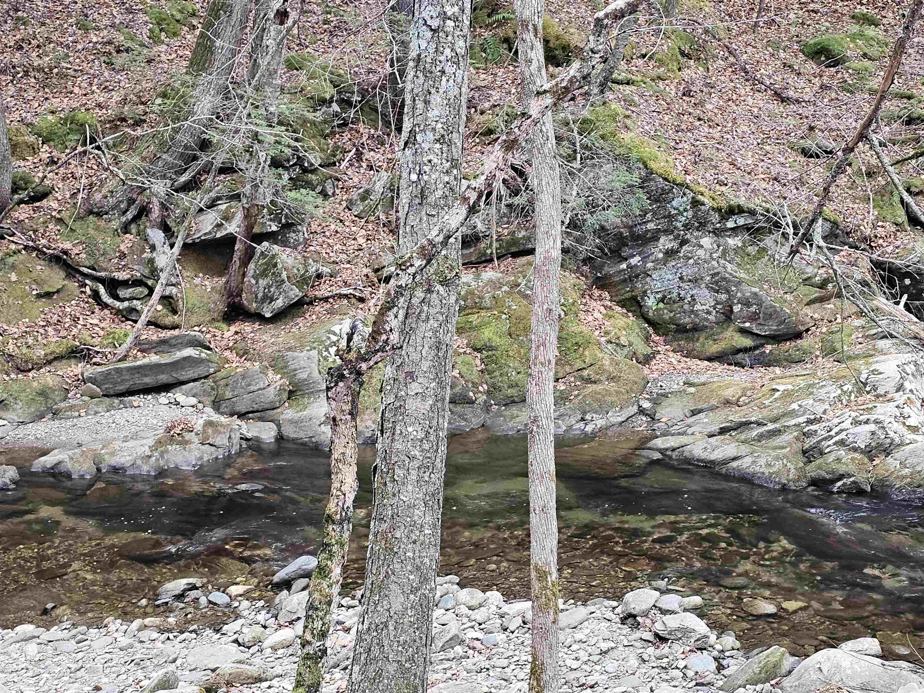 756 Turkey Mountain Road