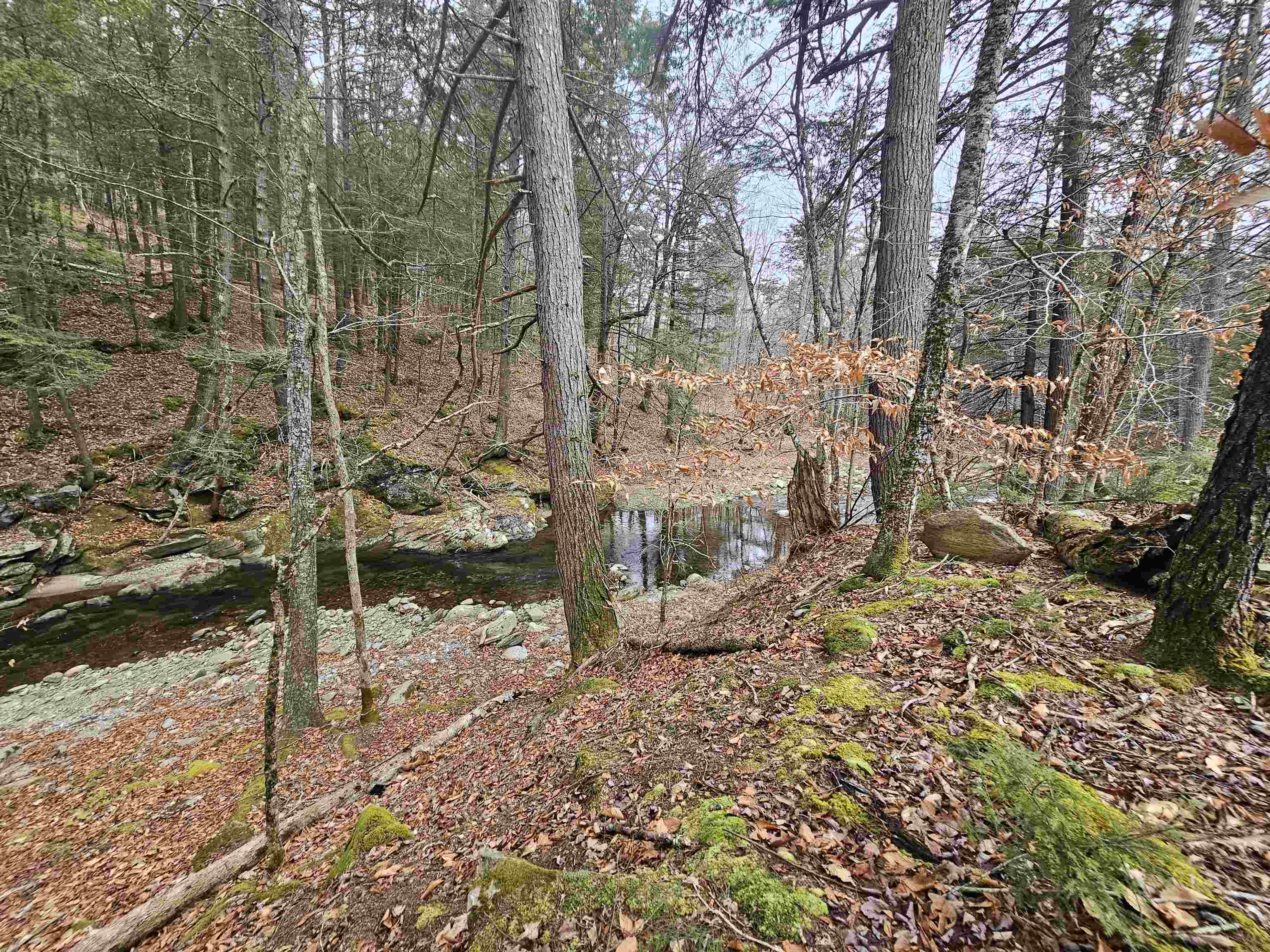 756 Turkey Mountain Road