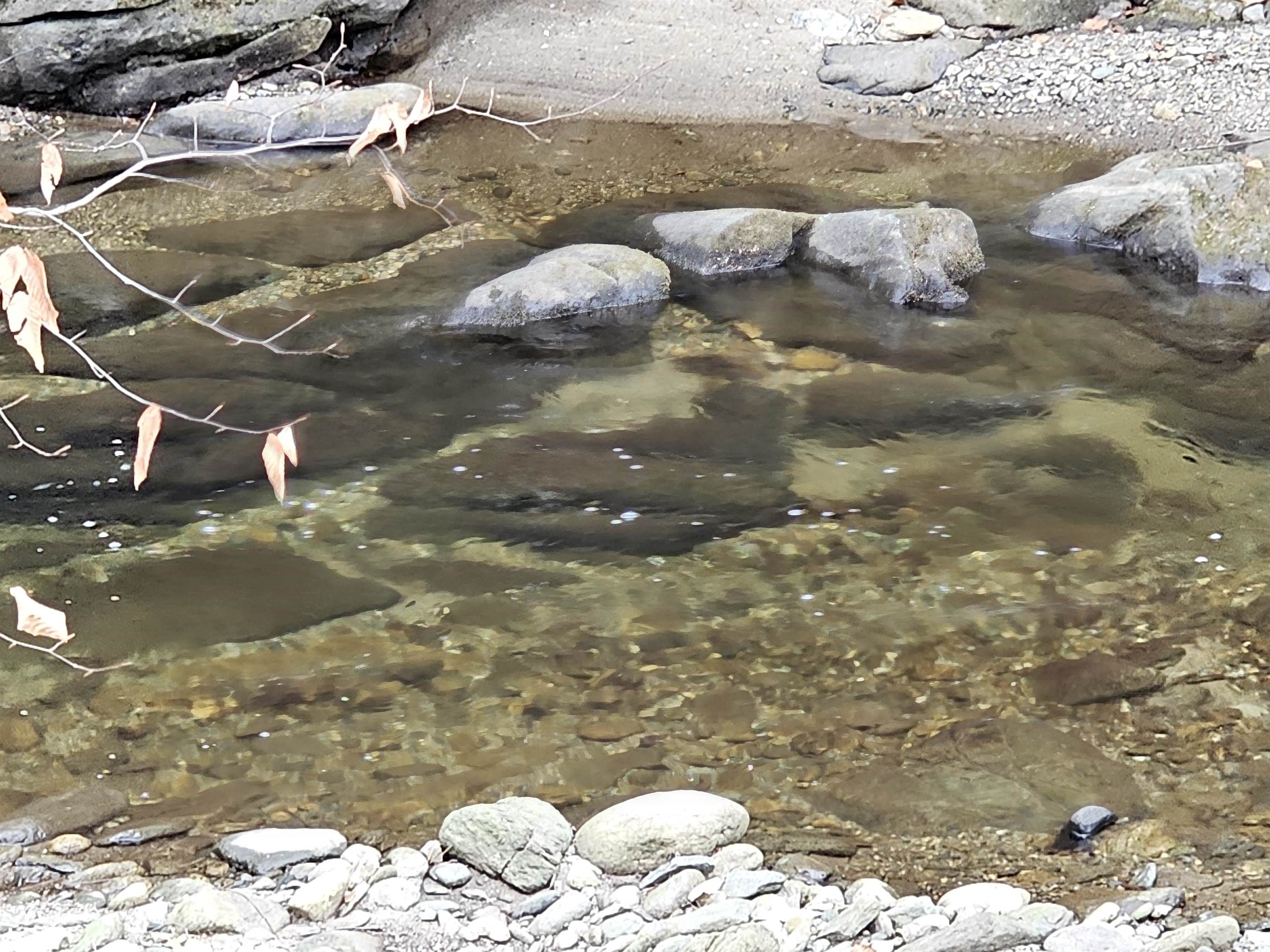 756 Turkey Mountain Road