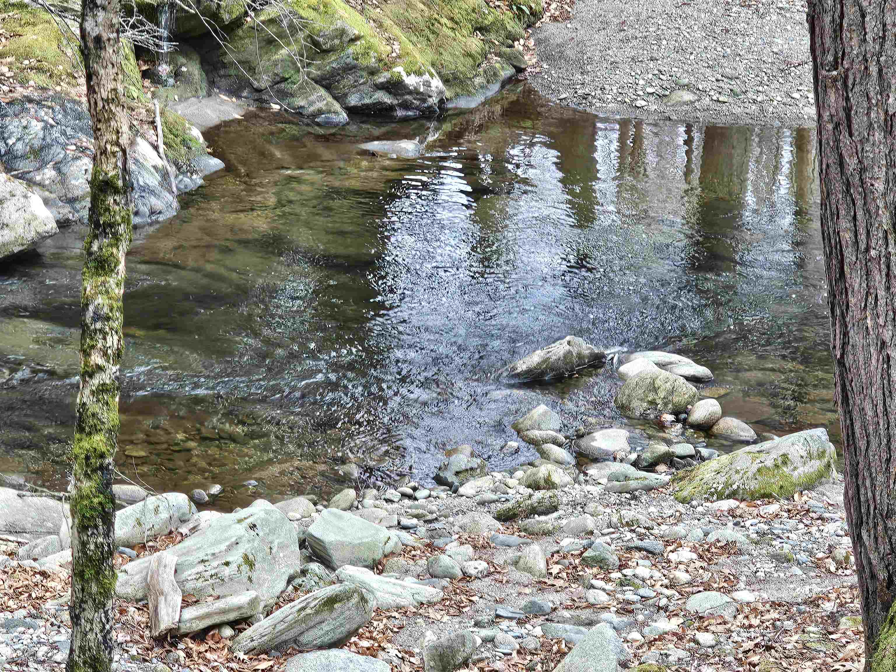 756 Turkey Mountain Road