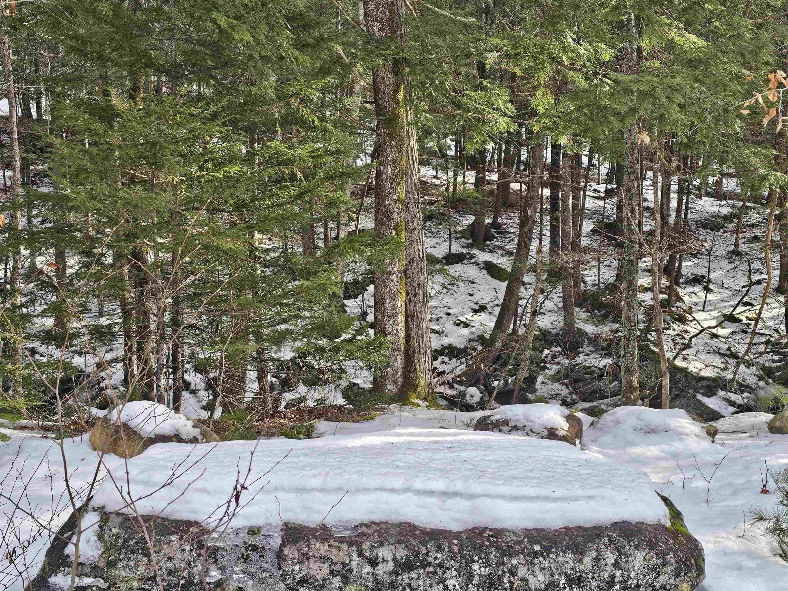 756 Turkey Mountain Road