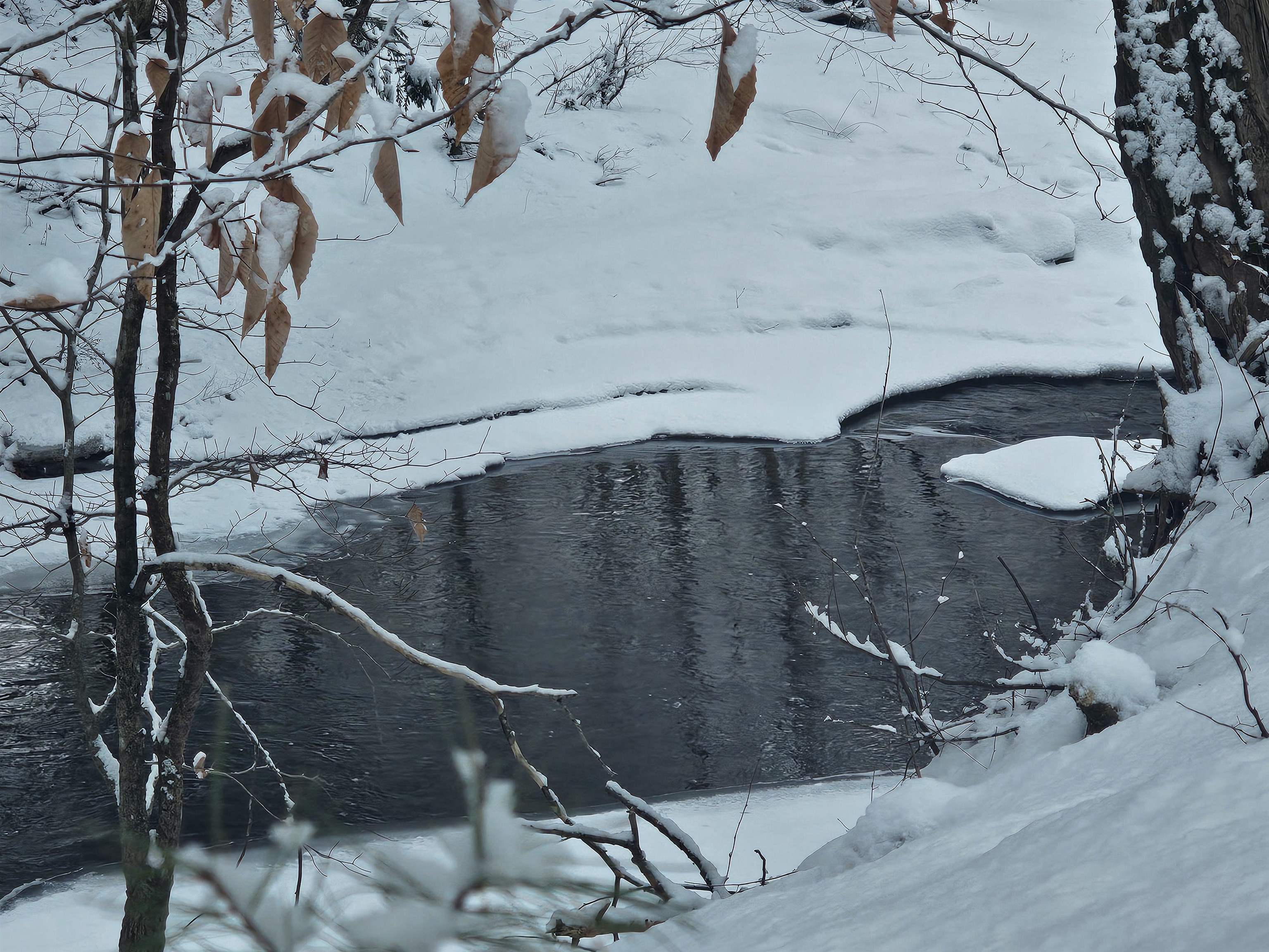 756 Turkey Mountain Road