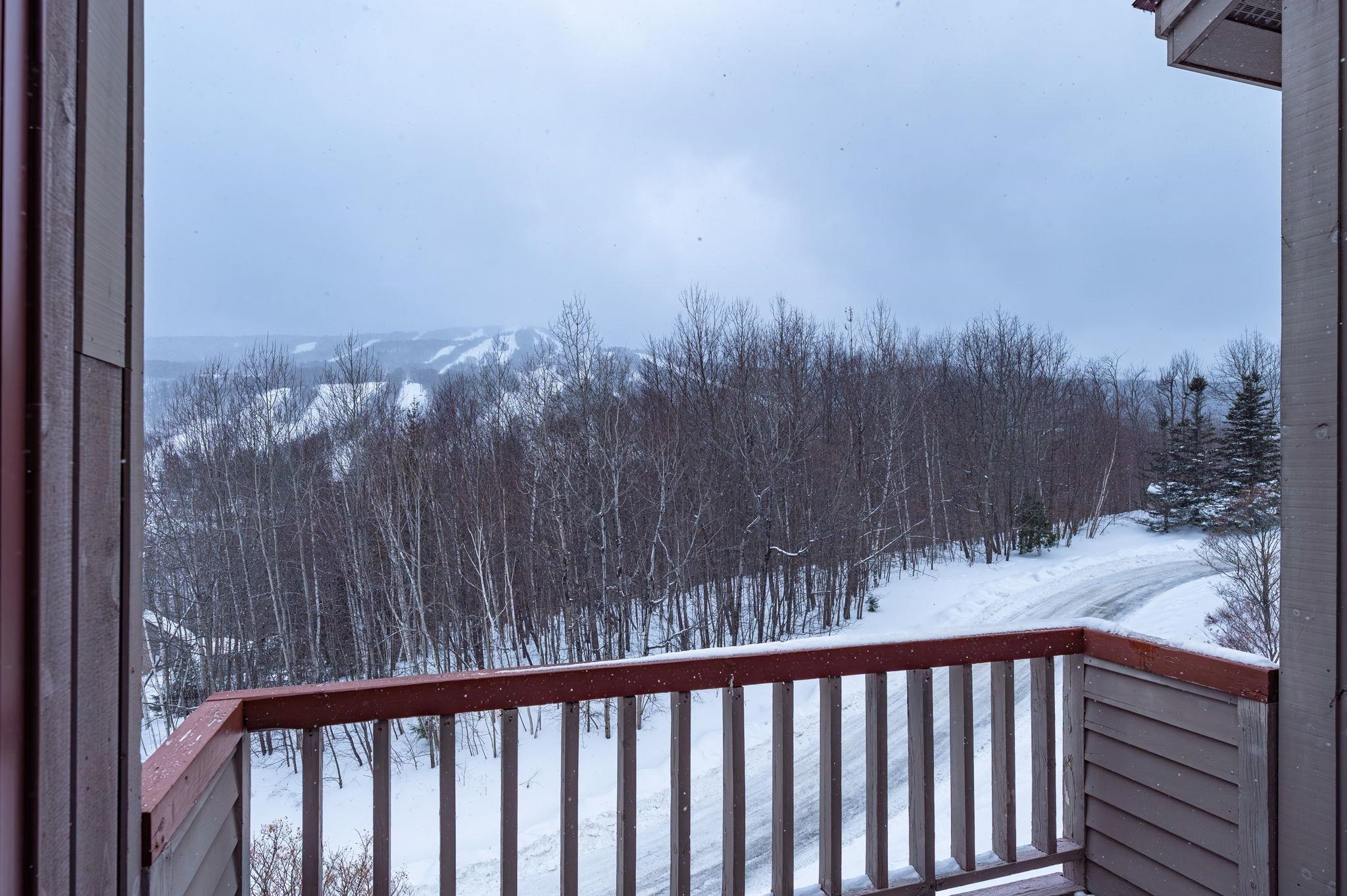 34 Snow Tree Lane Unit: K