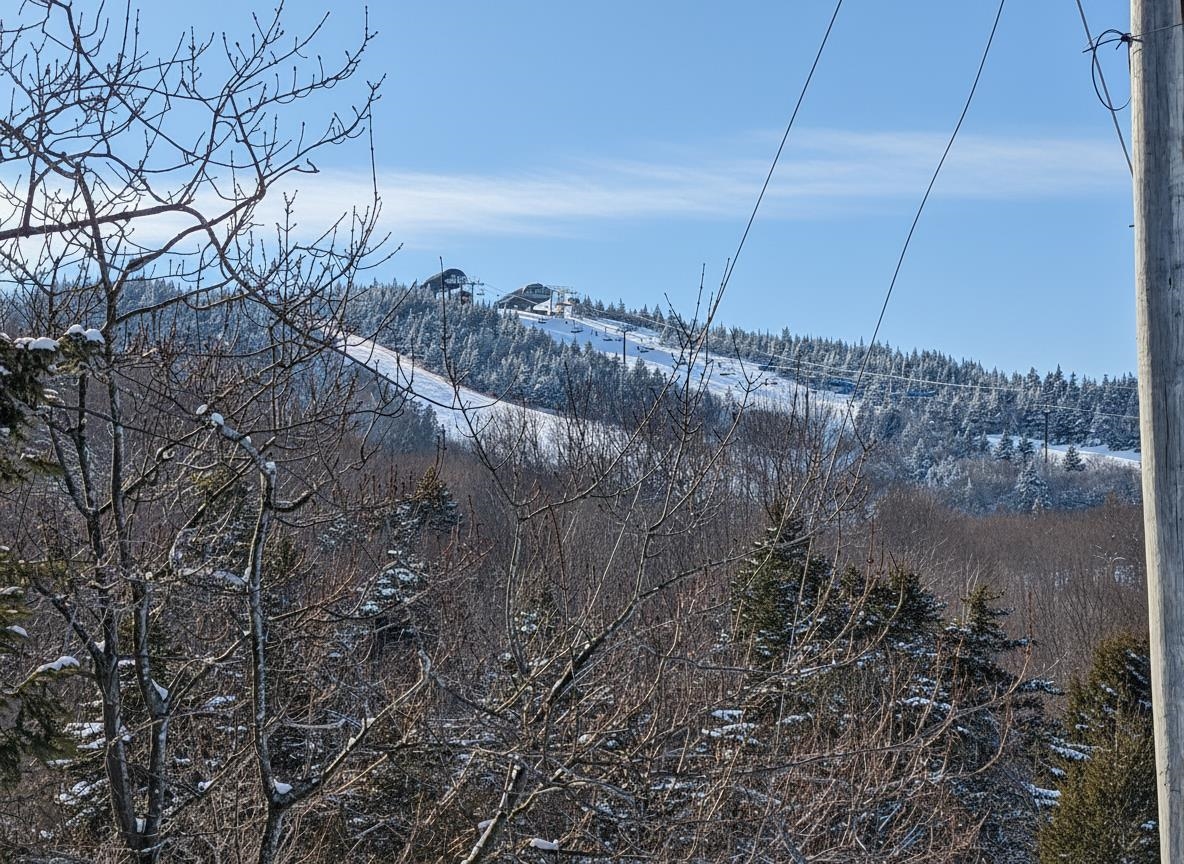 4 E Carinthia Lane