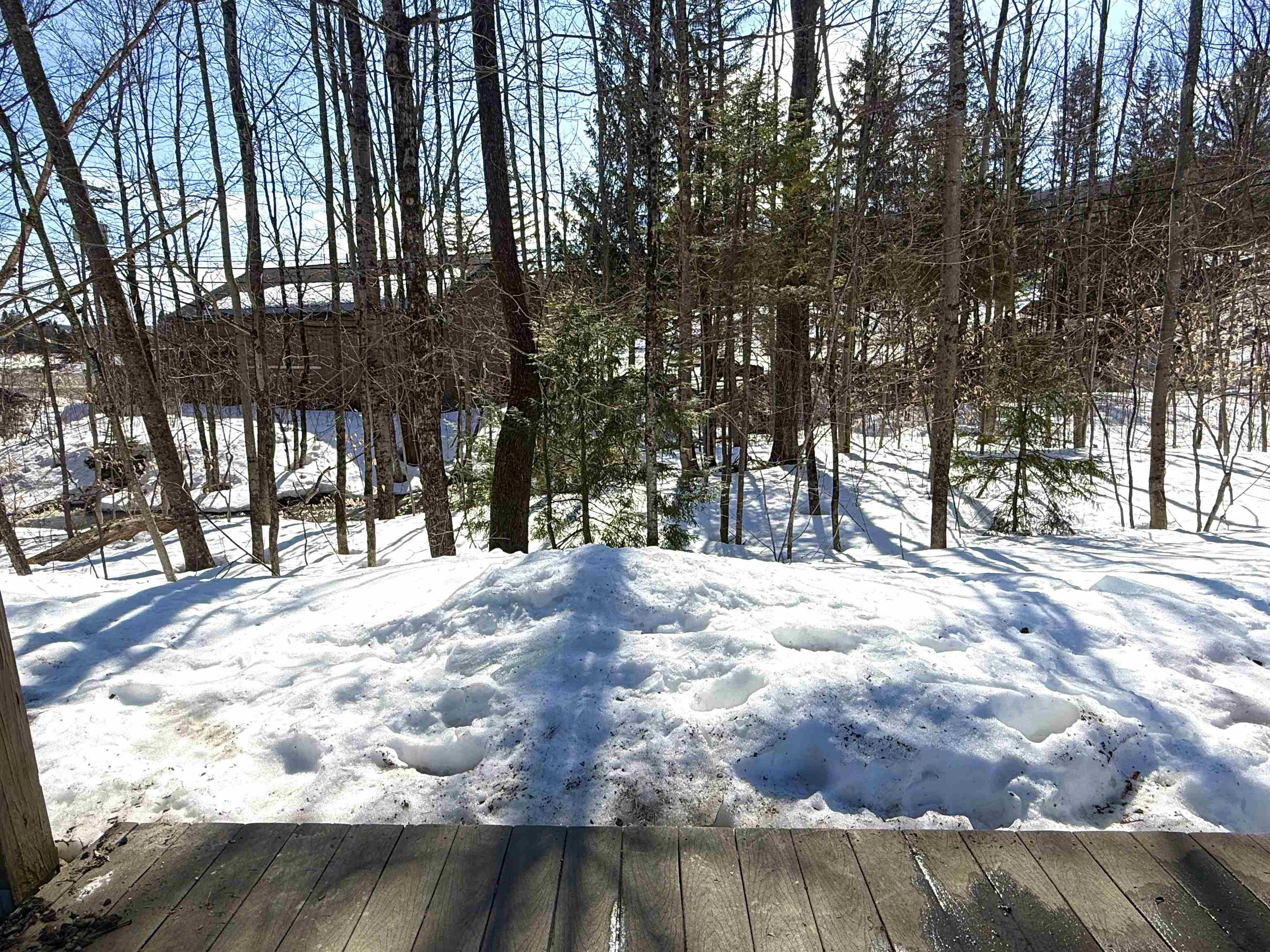 11C Snow Tree Lane Unit: Birches 11C