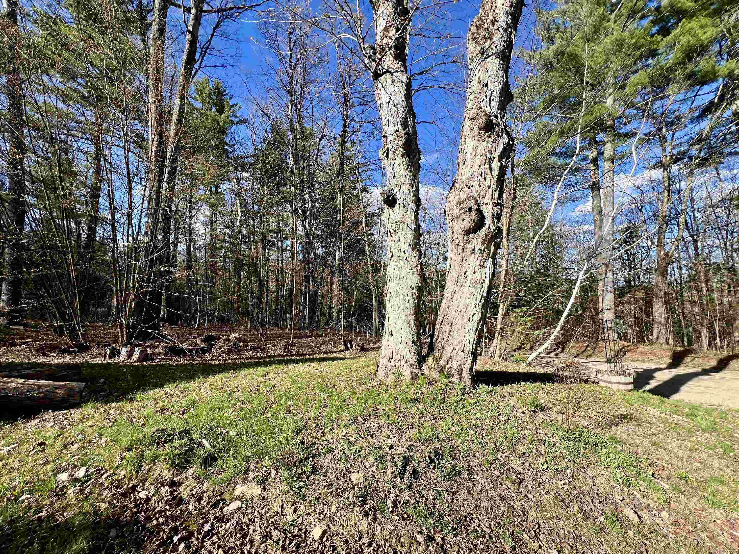 509 Silver Lane
