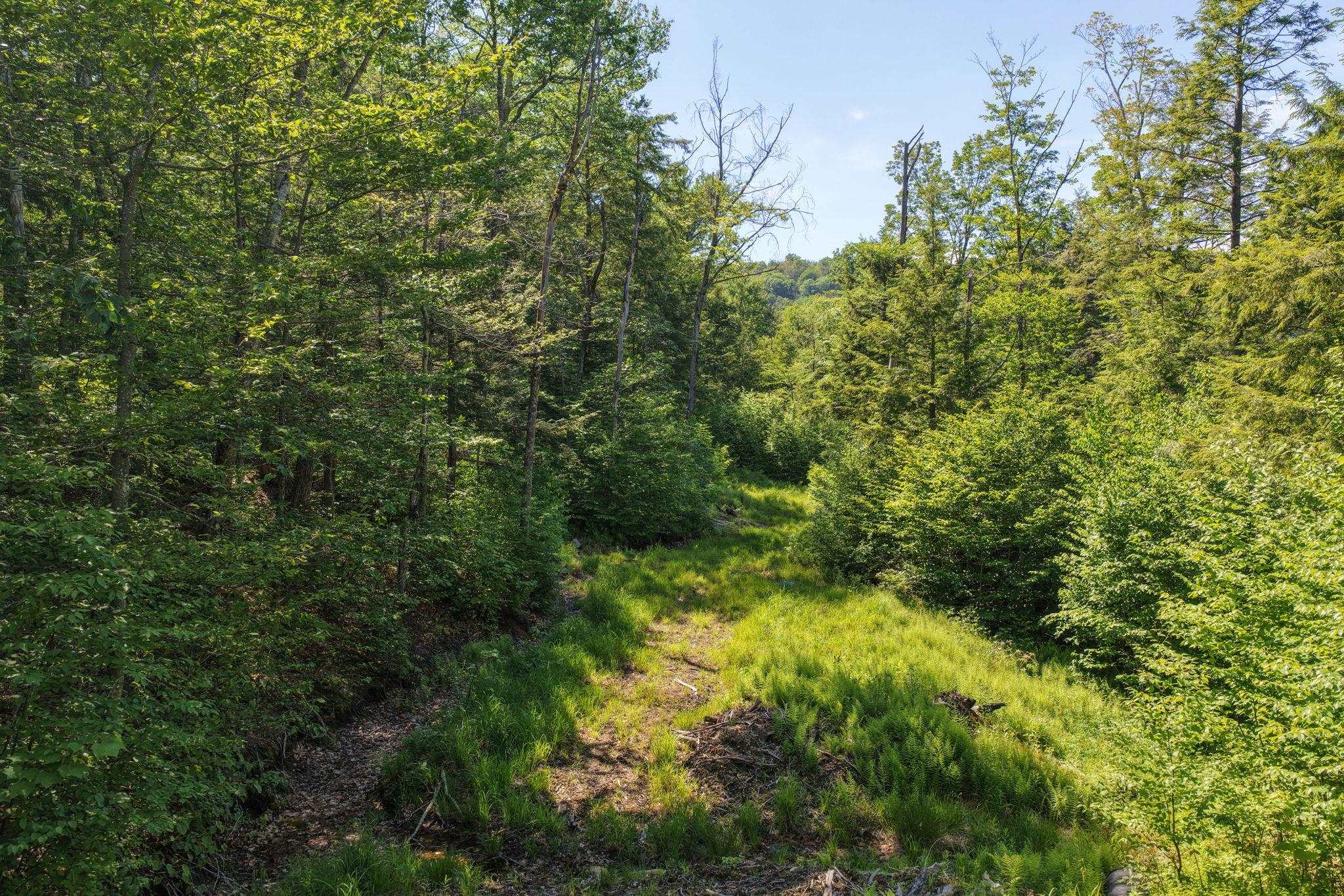381 Whitaker Farm Road