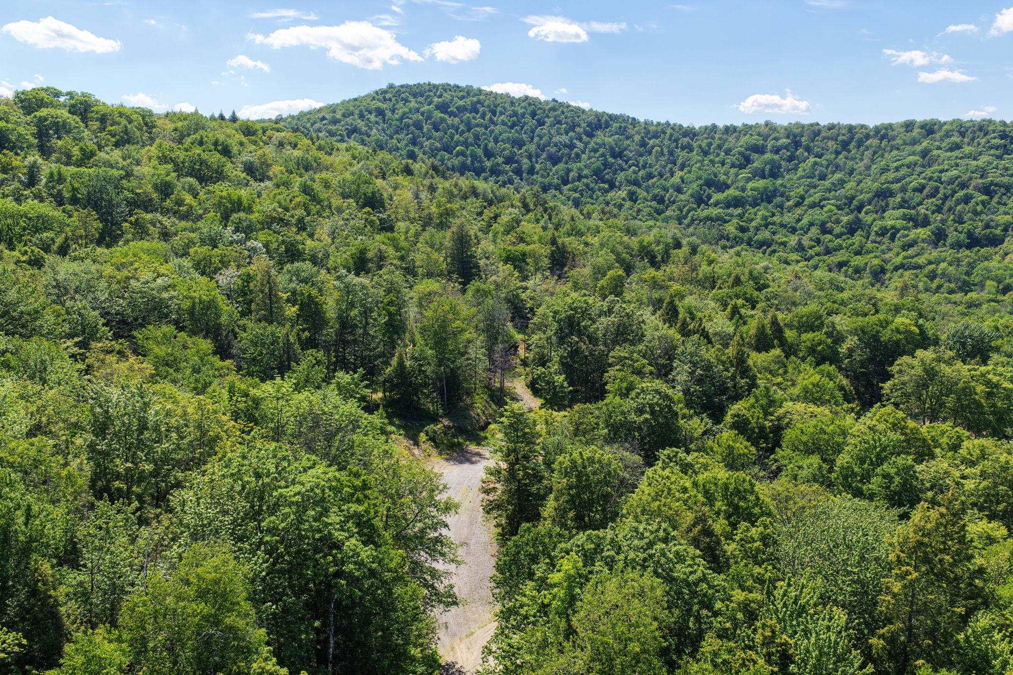 381 Whitaker Farm Road