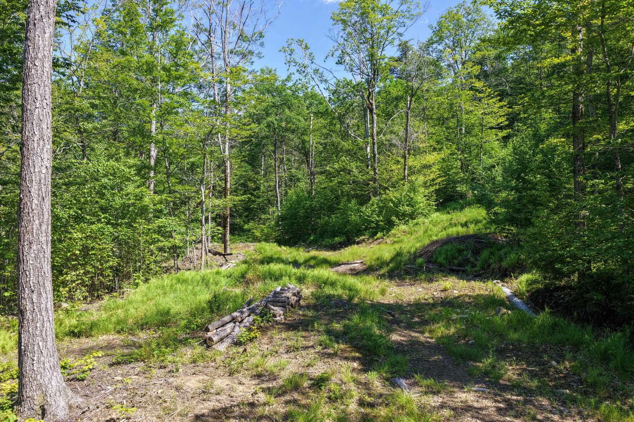 381 Whitaker Farm Road