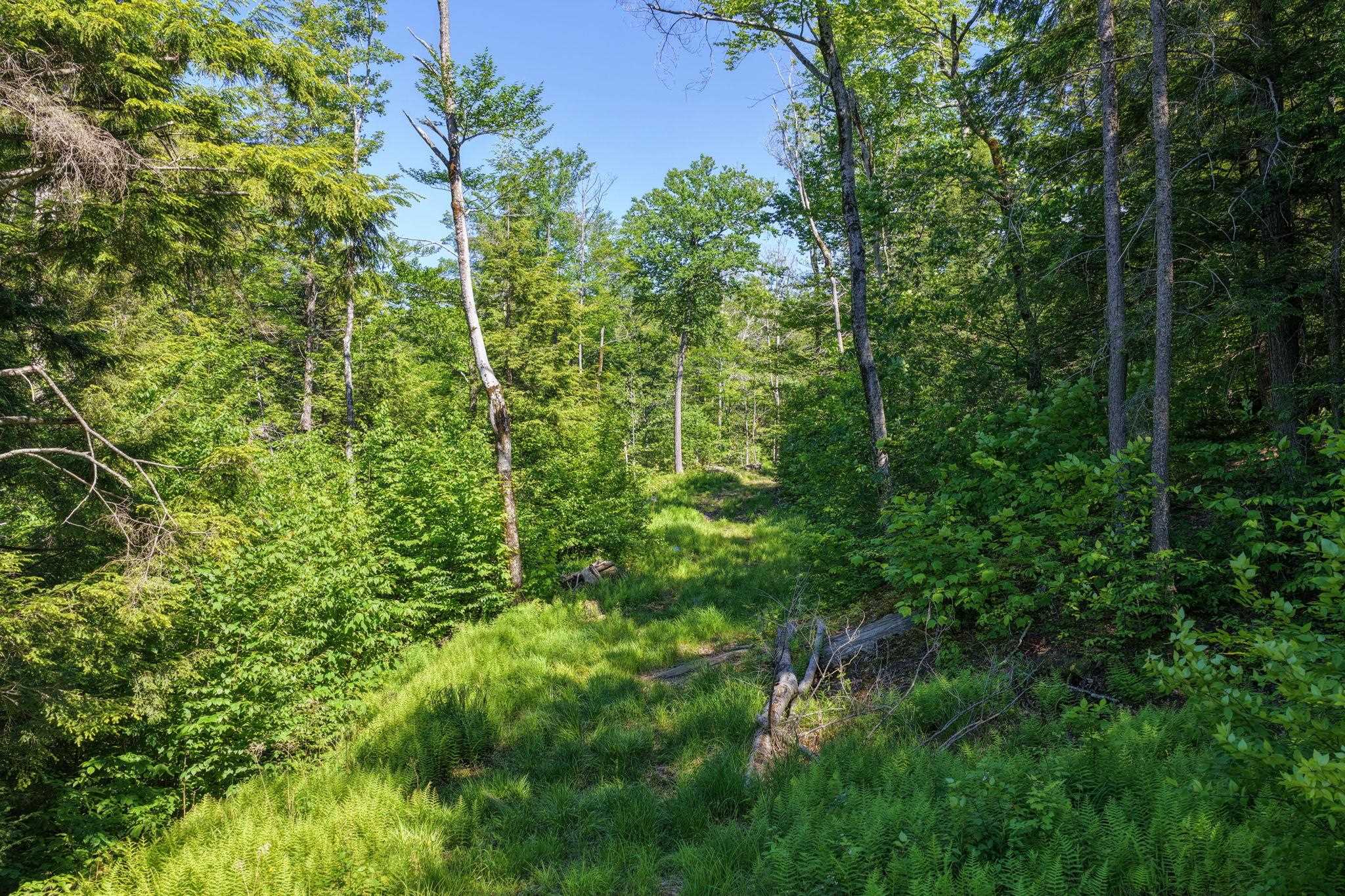 381 Whitaker Farm Road