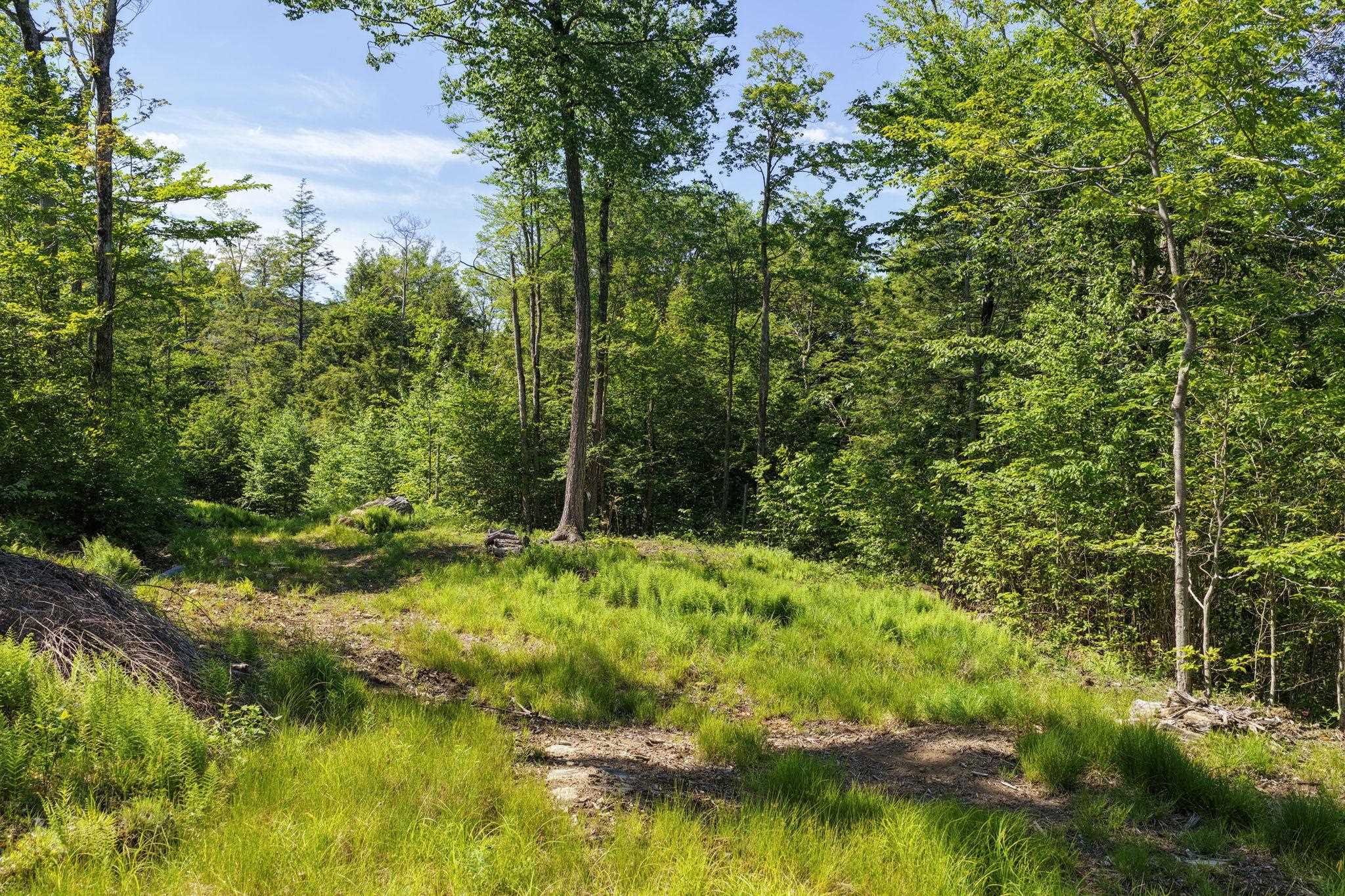 381 Whitaker Farm Road
