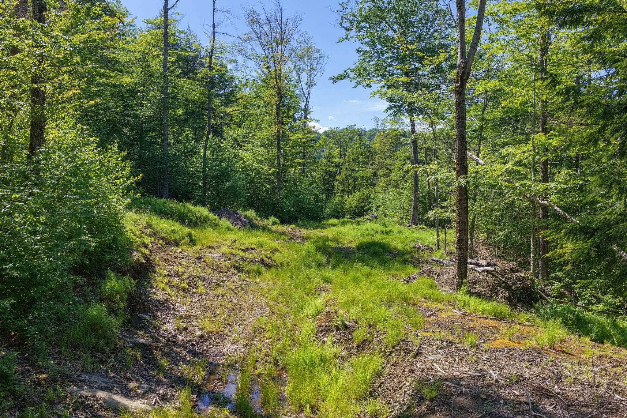 381 Whitaker Farm Road