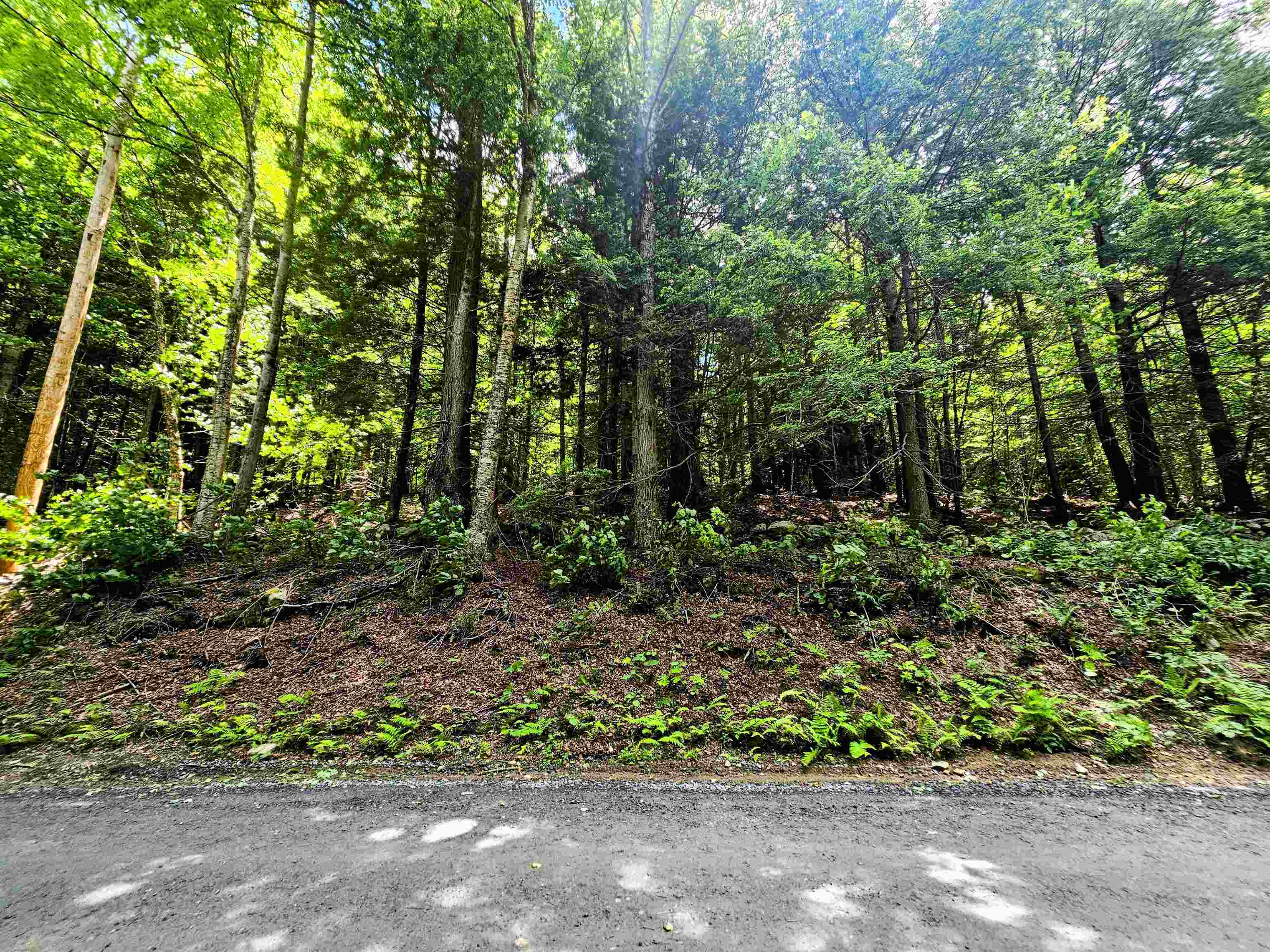 Smead Road